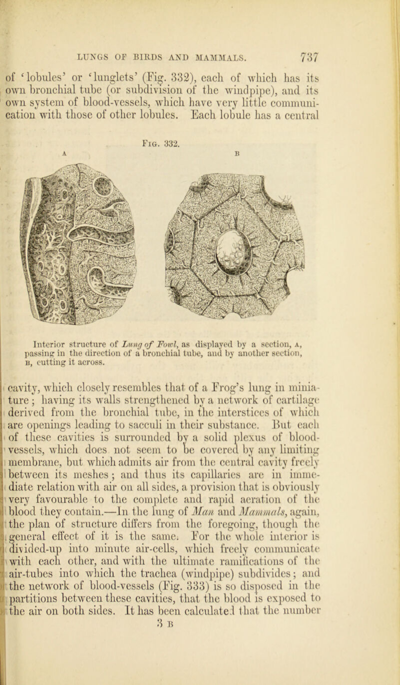 of ‘lobules’ or ‘lunglets’ (Fig. 332), each of which has its own bronchial tube (or subdivision of the windpipe), and its own system of blood-vessels, which have very little communi- cation with those of other lobules. Each lobule has a central Fig. 332. Interior structure of Lung of Fowl, as displayed by a section, a, passing in the direction of a bronchial tube, and by another section, b, cutting it across. cavity, which closely resembles that of a Frog’s lung in minia- ture ; having its walls strengthened by a network of cartilage derived from the bronchial tube, in the interstices of which are openings leading to sacculi in their substance. But each of these cavities is surrounded by a solid plexus of blood- vessels, which does not seem to be covered by any limiting membrane, but which admits air from the central cavity freely between its meshes ; and thus its capillaries are in imme- diate relation with air on all sides, a provision that is obviously very favourable to the complete and rapid aeration of the blood they contain.—In the lung of Man and Mammals, again, the plan of structure differs from the foregoing, though the . general effect of it is the same. For the whole interior is divided-up into minute air-cells, which freely communicate with each other, and with the ultimate ramifications of the air-tubes into which the trachea (windpipe) subdivides; and the network of blood-vessels (F’ig. 333) is so disposed in the partitions between these cavities, that the blood is exposed to the air on both sides. It has been calculate! that the number 3 B