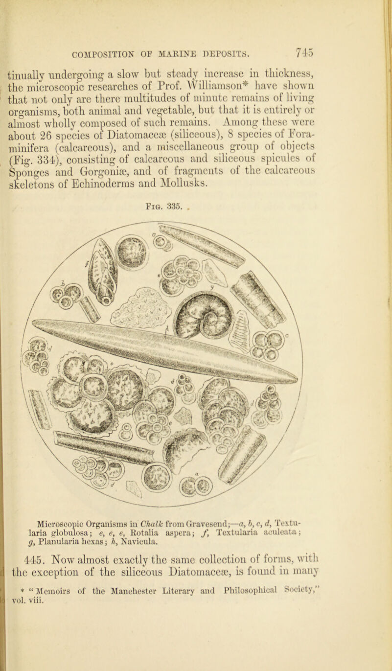 tinually undergoing a slow but steady increase in thickness, the microscopic researches of Prof. Williamson* have shown that not only are there multitudes of minute remains of living organisms, both animal and vegetable, but that it is entirely or almost wholly composed of such remains. Among these were about 26 species of Diatomacese (siliceous), 8 species of Pora- minifera (calcareous), and a miscellaneous group of objects (Pig. 334), consisting of calcareous and siliceous spicules of Sponges and Gorgonise, and of fragments of the calcareous skeletons of Echinoderms and Mollusks. Fig. 335. . Microscopic Organisms in Chalk from Gravesend;—a, b, c, d, Tcxtu- laria globulosa; e, e, e, Rotalia aspera; f, Textularia aculeata; g, Planularia hexas; h, Navicula. 445. Now almost exactly the same collection of forms, with the exception of the siliceous Diatomacese, is found in many * “Memoirs of the Manchester Literary and Philosophical Society,’ vol. viii.