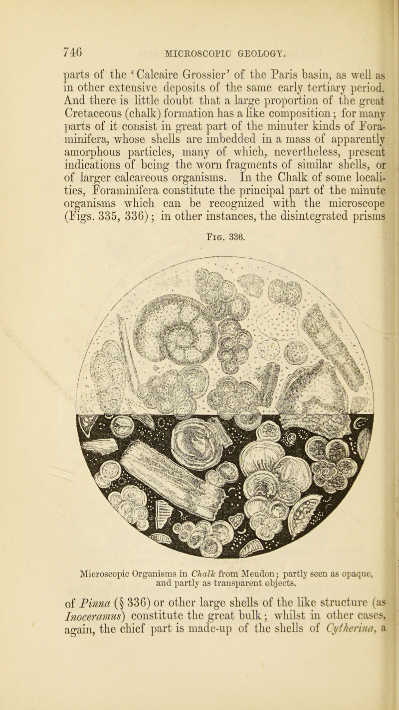 parts of the ‘Calcaire Grossier’ of the Paris basin, as well as in other extensive deposits of the same early tertiary period. And there is little doubt that a large proportion of the great Cretaceous (chalk) formation has a like composition; for many parts of it consist in great part of the minuter kinds of Pora- minifera, whose shells are imbedded in a mass of apparently amorphous particles, many of which, nevertheless, present indications of being the worn fragments of similar shells, or of larger calcareous organisms. In the Chalk of some locali- ties, Poraminifera constitute the principal part of the minute organisms which can be recognized with the microscope (Pigs. 335, 336); in other instances, the disintegrated prisms Fig. 336. Microscopic Organisms in Chalk from Meudon; partly seen as opaque, and partly as transparent objects. of Pinna (§ 336) or other large shells of the like structure (as Inoceramus) constitute the great bulk; whilst in other cases, again, the chief part is made-up of the shells of Cythei'ina, a