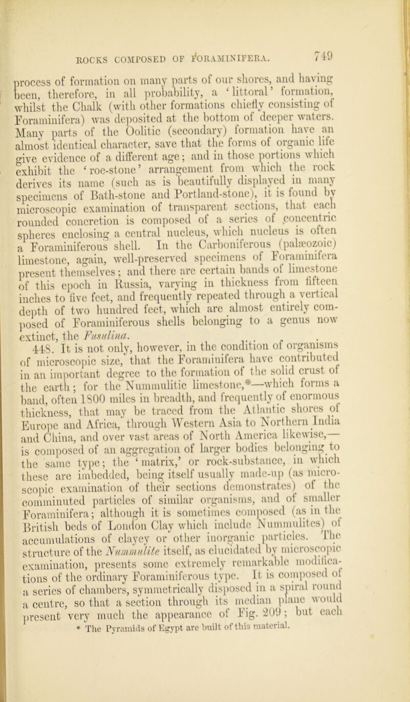 719 ROCKS COMPOSED OF flORAMINIFERA. process of formation on many parts of our shores, and having been, therefore, in all probability, a £ littoral lormation, whilst the Chalk (with other formations chiefly consisting of Foraminifera) was deposited at the bottom of deeper waters. Many parts of the Oolitic (secondary) formation have an almost identical character, save that the forms of organic life o-ive evidence of a different age; and in those portions which exhibit the ‘roe-stone’ arrangement from which the rock derives its name (such as is beautifully displayed in many specimens of Bath-stone and Portland-stone), it is found by microscopic examination of transparent sections, that each rounded concretion is composed ot a series ot concent nc spheres enclosing a central nucleus, which nucleus is often a Foraminiferous shell. In the Carboniferous ^(palaeozoic j limestone, again, well-preserved specimens of Foraminifera present themselves; and there arc certain bands of limestone of this epoch in Russia, varying in thickness from fifteen inches to five feet, and frequently repeated through a vertical depth of two hundred feet, which are almost entirely com- posed of Foraminiferous shells belonging to a genus now extinct, the Fusulina. < IIS. It is not only, however, in the condition of organisms of microscopic size, that the Foraminifera have contributed in an important degree to the formation of the solid crust ot the earth; for the Nummulitic limestone,*—which forms a band, often 1300 miles in breadth, and frequently of enormous thickness, that may be traced from the Atlantic shores ot Europe and Africa,’ through Western Asia to Northern India and China, and over vast areas of North America likewise, is composed of an aggregation of larger bodies belonging to the same type; the * matrix,’ or rock-substance, in which these are imbedded, being itself usually made-up (as micro- scopic examination of their sections demonstrates) ot the comminuted particles of similar organisms, and ot smaller Foraminifera; although it is sometimes composed (as in the British beds of London Clay wliicli include Numinulites) ot accumulations of clayey or other inorganic particles. I lie structure of the Nummulite itself, as elucidated by microscopic examination, presents some extremely remarkable modifica- tions of the ordinary Foraminiferous type. It is composed ot a series of chambers, symmetrically disposed in a spiral round a centre, so that a section through its median plane would present very much the appearance ot Fig. 200; but each * The Pyramids of Egypt are built of this material.