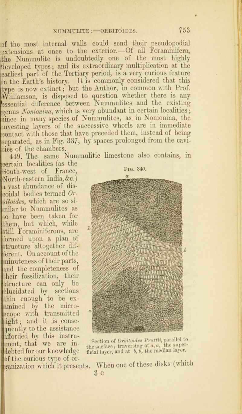 :>f the most internal walls could send their pseudopodial extensions at once to the exterior.—Of all Poraminifera, the Nummulite is undoubtedly one of the most highly developed types; and its extraordinary multiplication at the earliest part of the Tertiary period, is a very curious feature .n the Earth’s history. It is commonly considered that this type is now extinct; but the Author, in common with Prof. Williamson, is disposed to question whether there is any essential difference between Nummulites and the existing e;enus Nonionim, which is very abundant in certain localities ; since in many species of Nummulites, as in Nonionina, the nvesting layers of the successive whorls are in immediate eontact with those that have preceded them, instead of being separated, as in Eig. 337, by spaces prolonged from the cavi- ies of the chambers. 419. The same Nummulitic limestone also contains, in certain localities (as the South-west of Prance, FlG-34°* North-eastern India,&c.) i vast abundance of dis- joidal bodies termed Or- ntoides, which are so si- nilar to Nummulites as ,o have been taken for hem, but which, while still Poraminiferous, are ormed upon a plan of tructure altogether dif- erent. On account of the ninuteness of their parts, ind the completeness of heir fossilization, their structure can only be elucidated by sections thin enough to be ex- imined by the micro- scope with transmitted ight; and it is conse- quently to the assistance ifforded by this instru- nent, that we are in- debted for our knowledge )f the curious type of or Section of Ovbitoide* Pruttii,parallel to the surface; traversing at a,a, the super- ficial layer, and at b, b, the median layer. muization which it presents. W hen one of these disks (w hich 3 c