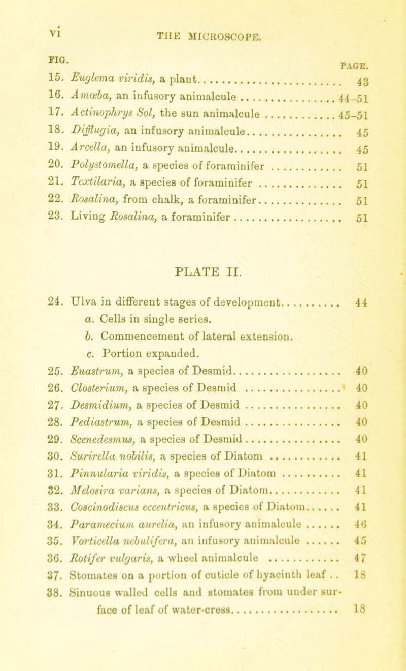 PAGE. 15. Euglema viridis, a plant 43 16. Amceba, an iufusory animalcule -44-51 17. Actinophrys Sol, the sun animalcule 45-51 18. an infusory animalcule 45 19. Arcella, an infusory animalcule 45 20. Polystomella, a species of foraminifer 51 21. Textilaria, a species of foraminifer 51 22. Rosalina, from chalk, a foraminifer 51 23. Living Rosalina, a foraminifer 51 PLATE II. 24. Ulva in different stages of development 44 a. Cells in single series. b. Commencement of lateral extension. c. Portion expanded. 25. Euastrum, a species of Desmid 40 26. Cfoslm'um, a species of Desm id * 40 27. Eesmidium, a species of Desmid 40 28. Pediastrum, a species of Desmid 40 29. Scenedesmus, a species of Desmid 40 30. /S'ttrircWa 7io6i7j«, a species of Diatom 41 31. Puirtitfaria fin'ciw, a species of Diatom 41 32. il/cfo«iVa variaiw, a species of Diatom 41 33. Coscinodiscus eccaitricus, a. apecieB (ji Dintoia 41 34. Paramecium, aurelia, an infusory animalcule 46 35. Vorlicdla nebulifcra, an infusory animalcule 45 36. Rotifer vulyaris, a wheel animalcule 4 7 37. Stomates on a portion of cuticle of hyacinth leaf .. 18 88. Sinuous walled cells and stomates from under sur- face of leaf of watcr-cress 18