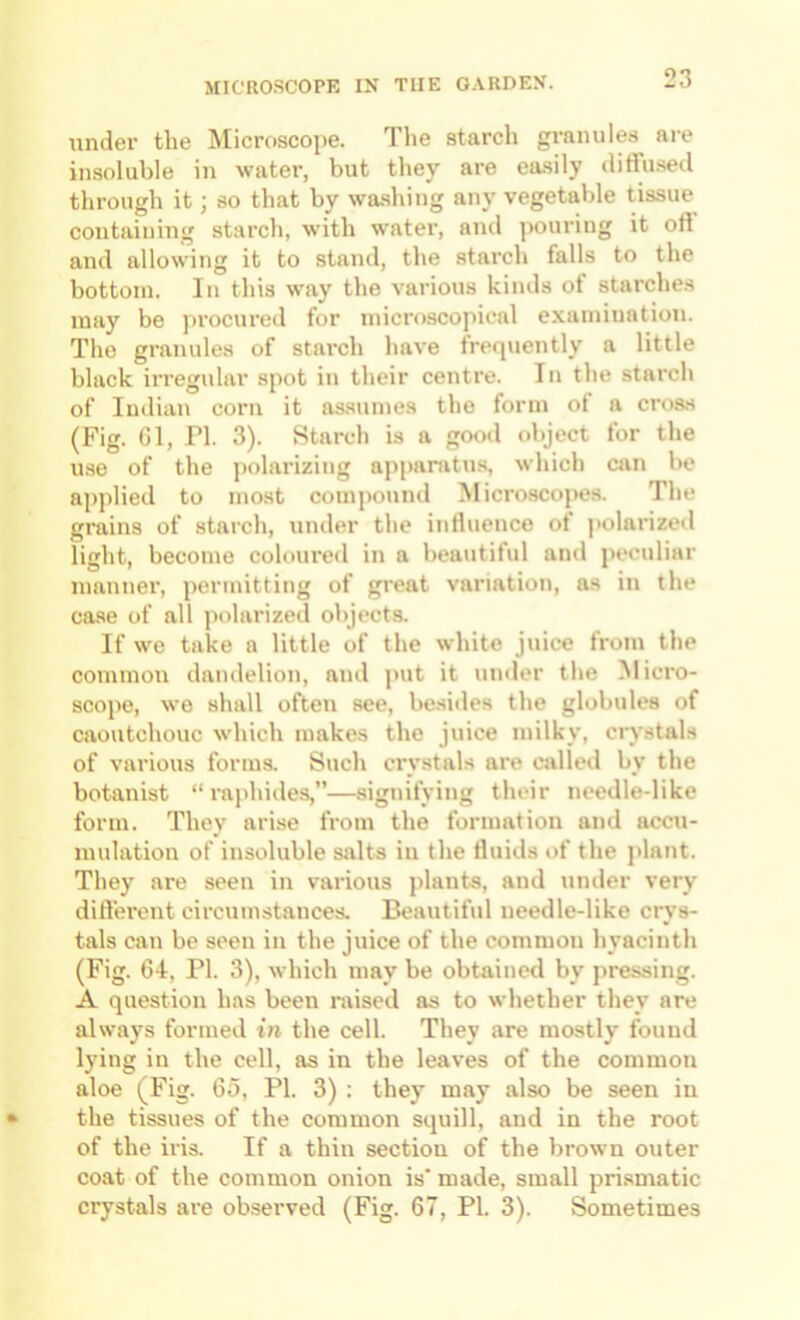 under the Microscope. The starch granules are insoluble in water, but they are easily diflused through it; so that by washing any vegetable tissue containing starch, with water, and ]>ouring it oti and allowing it to stand, the starch falls to the bottom. In this way the various kinds of starches may be procured for microscopical examination. The granules of stai'ch have frequently a little black irregular spot in their centre. In the starch of Indian corn it assumes the form of a cross (Fig. Gl, ri. 3). Starch is a good object for the u.se of the j)olariziug apparatus, which can be applied to most compound Microscopes. The grains of starch, under the intluence ot jiolarized light, become coloured in a beautiful and peculiar manner, permitting of great variation, as in the case of all polarized objects. If we take a little of the white juice from the common daiulelion, and put it under the Micro- scope, we shall often see, be.sides the globules of caoutchouc which makes the juice milky, crystals of various forms. Such crystals are called by the botanist “ raj)hides,”—signifying their needle-like form. They arise from the formation and accu- mulation of insoluble salts in the fluids of the ])lant. They are seen in various plants, and under very dirterent circumstances. Beautiful needle-like crys- tals can be seen in the juice of the common hyacinth (Fig. 64, PI. 3), which may be obtained by pressing. A question has been raised as to whether they are always formed in the cell. They are mostly found lying in the cell, as in the leaves of the common aloe (Fig. 65, PI. 3) : they may also be seen in the tissues of the common squill, and in the root of the iris. If a thin section of the brown outer coat of the common onion is made, small prismatic crystals are observed (Fig. 67, PI. 3). Sometimes