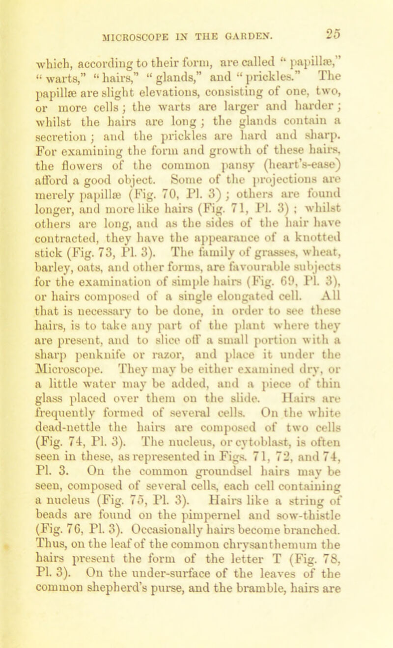 which, according to their form, are called “ jiapillie,” “warts,” “hairs,” “glands,” and “ prickles.” The papillae are slight elevations, consisting of one, two, or more cells; the warts are larger and hai'der; whilst the hairs are long ; the glands contain a secretion j and the prickles are hard and sliarp. For examining the form and growth of these hail’s, the flowers of the common pansy (heart’s-ease) afford a good object. Some of the iirojections ai’O merely papillie (Fig. 70, PI. 3) ; others are found longer, and more like hail’s (Fig. 71, PI. 3) ; whilst others are long, and ns the sides of the hair have contracted, they have the appearance of a knotted stick (Fig. 73, PI. 3). The family of grasses, wheat, barley, oats, and other forms, are favourable subj»*ct.s for the examination of simple hairs (Fig. 69, 1*1. 3), or hail’s composed of a single elongated cell. All that is nece.ssary to be done, in order to see these hairs, is to take any part of the ]>lant where they are present, ami to slice otf a small portion with a sharp jienknife or nizor, and ])lace it under the ^Microscope. They may be either examined dry, or a little water may be added, and a piece of thin glass placed over them on the slide. Hail’s are frecpiently formed of sevei’al cells. On the white dead-nettle the hail’s are composed of two cells (Fig. 74, PI. 3). The nucleus, or cytoblast, is often seen in these, as represented in Figs. 71, 72, and 74, PI. 3. On the common gi’oundsel hairs may be seen, composed of several cells, each cell containing a nucleus (Fig. 75, PI. 3). Flail’s like a string of beads are found on the pimpernel and sow-thistle (Fig. 76, PI. 3). Occasionally hairs become branched. Thus, on the leaf of the common chrysanthemum the hairs present the form of the letter T (Fig. 78, PI. 3). On the uuder-suiface of the leaves of the common sliepherd’s pui’se, and the bramble, hairs are