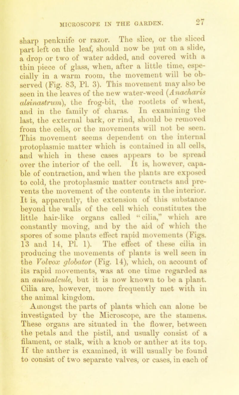 sharp penknife or razor. The slice, or the sliced ])art left on the leaf, should now be put on a slide, a drop or two of water added, and covered with a thin piece of glass, when, after a little time, espe- cially in a wai'in room, the movement will be ob- served (Fig. 83, PI. 3). This movement may also be seen in the leaves of the new water-weed {Anacfuiris alsinastrum), the frog-bit, the rootlets ot wheat, and in the family of chai'us. In examining the last, the external bark, or rind, should be removed from the cells, or the movements will not be seen. This movement seems dependent on the internal jirotoplasmic matter which is contained in all cells, and which in these cases appears to be sj>read over the interior of the cell. It is, however, capa- ble of contraction, and when the j)lants are expo.setl to cold, the protophusmic matter contracts and pre- vents the movement of the contents in the interior. It is, apparentl}', the extension of this substance beyond the walls of the cell which constitutes the little hair-like organs called “cilia,” which are constantly moving, and by the aid of which the spores of some plants effect nipid movements (Figs. 13 and 14, PI. 1). The effect of these cilia in producing the movements of plants is well seen in the Volvox globator (Fig. 14), which, on account of its rapid movements, was at one time regarded as an animalcule, but it is now known to be a plant. Cilia are, however, more frequently met with in the animal kingdom. Amongst the parts of plants which can alone be investigated by the Microscope, aiu the stamens. These organs are situated in the flower, between the petals and the pistil, and usually consist of a filament, or stalk, with a knob or anther at its top. If the anther is examined, it will usually be found to consist of two separate valves, or cases, in each of