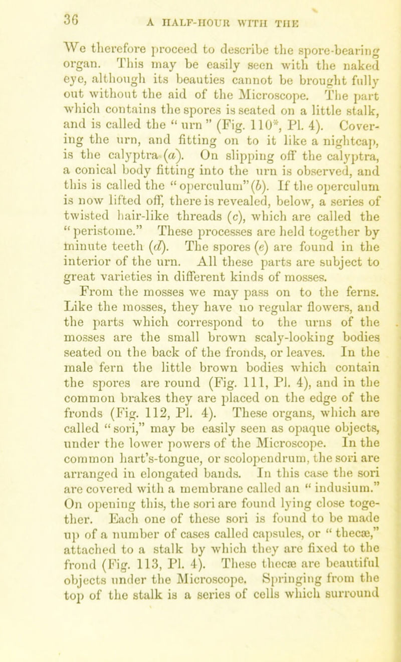 We therefore proceed to describe the spore-bearing organ. This may be easily seen with the naked eye, althougli its beauties cannot be brought fully out without the aid of the Microscope. The part ■which contains the spores is seated on a little stalk, and is called the “ urn ” (Fig. 110* PI. 4). Cover- ing the urn, and fitting on to it like a nightcap, is the calyptra (a). On slipping off the calyptra, a conical body fitting into the urn is observed, and this is called the “ operculum”(6). If the operculum is now lifted off, there is revealed, below, a series of twisted hair-like threads (c), which are called the “ peristome.” These processes are held together by minute teeth (d). The spores (e) are found in the interior of the urn. All these parts are subject to great varieties in different kinds of mosses. From the mosses w'e may pass on to the ferns. Like the mosses, they have no regular flowers, and the parts which correspond to the urns of the mosses are the small brown scaly-looking bodies seated on the back of the fronds, or leaves. In the male fern the little brown bodies which contain the spores are round (Fig. Ill, PI. 4), and in the common brakes they are placed on the edge of the fronds (Fig. 112, PI. 4). The.se organs, which are called “sori,” may be easily seen as opaque objects, under the lower powers of the Microscope. In the common hart’s-tongue, or scolopendrum, the sori are arranged in elongated bands. In this case the sori are covered with a membrane called an “ indusium.” On opening this, the sori are found lying close toge- ther. Each one of these sori is found to be made up of a number of cases called capsules, or “ thecae,” attached to a stalk by which they are fixed to the frond (Fig. 113, PI. 4). These thecae are beautiful objects under the Microscope. Springing from the top of the stalk is a series of cells wliich surround