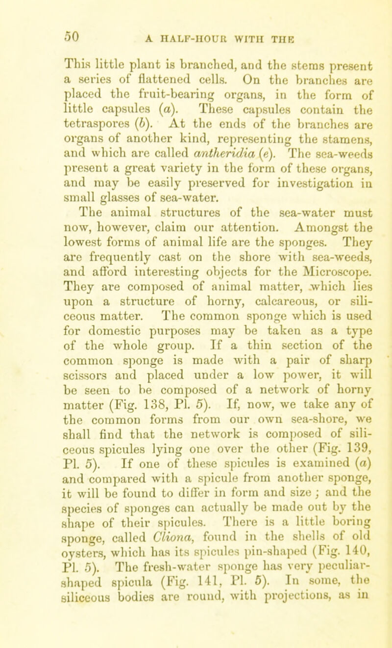 This little plant is branched, and the stems present a series of flattened cells. On the branches are placed the fruit-bearing organs, in the form of little capsules (o). These capsules contain the tetraspores (6). At the ends of the branches are organs of another kind, representing the stamens, and which are called antheridia (e). The sea-weeds pre.sent a great variety in the form of these organs, and may be easily preserved for investigation in small glasses of sea-water. The animal structures of the sea-water must now, however, claim our attention. Amongst the lowest forms of animal life are the sponges. They arc frequently cast on the shore with sea-weeds, and afford interesting objects for the Microscope. They are composed of animal matter, .which lies upon a structure of horny, calcareous, or sili- ceous matter. The common sponge which is used for domestic purposes may be taken as a type of the whole group. If a thin section of the common sponge is made with a pair of sharp scissors and placed under a low power, it will be seen to be compo.sed of a network of horny matter (Fig. 138, PI. 5). If, now, we take any of the common forms from our own sea-shore, we shall find that the network is composed of sili- ceous spicules lying one over the other (Fig. 139, PI. 5). If one of the.se spicules is examined (a) and compared with a spicule from another sponge, it will be found to differ in form and size ; and the species of sponges can actually be made out by the shape of their spicules. There is a little boring sponge, called Cliona, found in the shells of old oysters, which has its spicules pin-shaped (Fig. 140, PI. 5). The fresh-water sponge has very peculiar- shaped spicnla (Fig. 141, PI. 5). In some, the siliceous bodies are round, with projections, as in