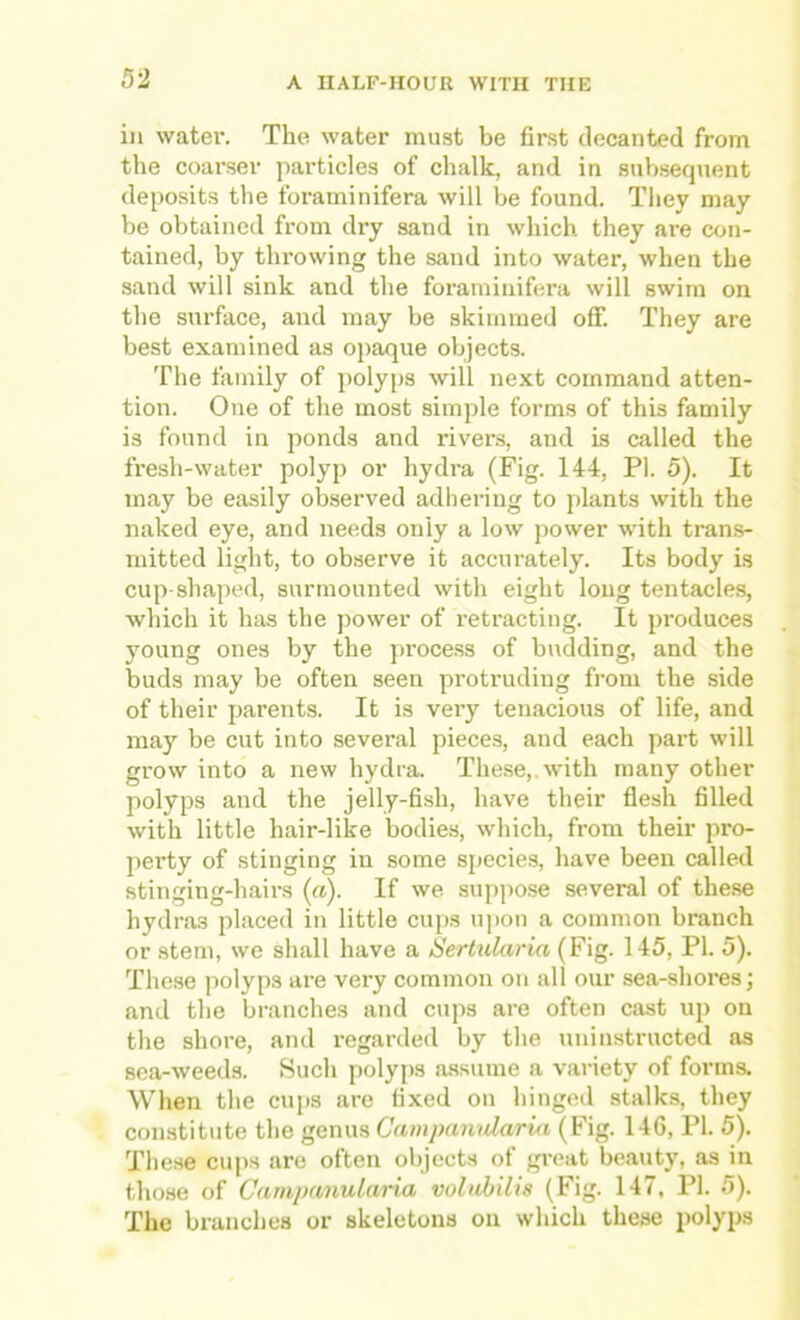 in water. The water must be first decanted from the coarser particles of chalk, and in subsequent deposits the foraminifera will be found. They may be obtained from dry sand in which they are con- tained, by throwing the sand into water, when the sand will sink and the foraminifera will swim on the surface, and may be skimmed off. They are best examined as ojiaque objects. The family of polyj)S will next command atten- tion. One of the most simple forms of this family is found in ponds and river-s, and is called the fresh-water polyp or hydra (Fig. 144, PI. 5). It may be easily observed adhering to plants with the naked eye, and needs only a low power with trans- mitted light, to observe it accurately. Its body is cup shaped, surmounted with eight long tentacles, which it has the power of retracting. It produces young ones by the process of budding, and the buds may be often seen protruding from the side of their parents. It is veiy tenacious of life, and may be cut into several pieces, and each part will grow into a new hydra. These,, with many other polyps and the jelly-fish, have their flesh filled with little hair-like bodie.s, which, from their pro- perty of stinging in some species, have been called stinging-hairs (a). If we supj)ose several of these hydras placed in little cups ujion a common branch or stem, we shall have a 6'ertularia (Fig. 145, PI. 5). These polyps are very common on all our sea-shores; and the branches and cups are often cast up on the shore, and regarded by the uninstructed as sea-weeds. Such polyps a.ssume a variety of forms. When the cu[)S are fixed on hinged stalks, they constitute the genus Campanularui (Fig. 146, PI. 5). These cups are often objects of great beauty, as in those of Canipanulnria voliibills (Fig. 147, PI. 5). The branches or skeletons on which these polyps