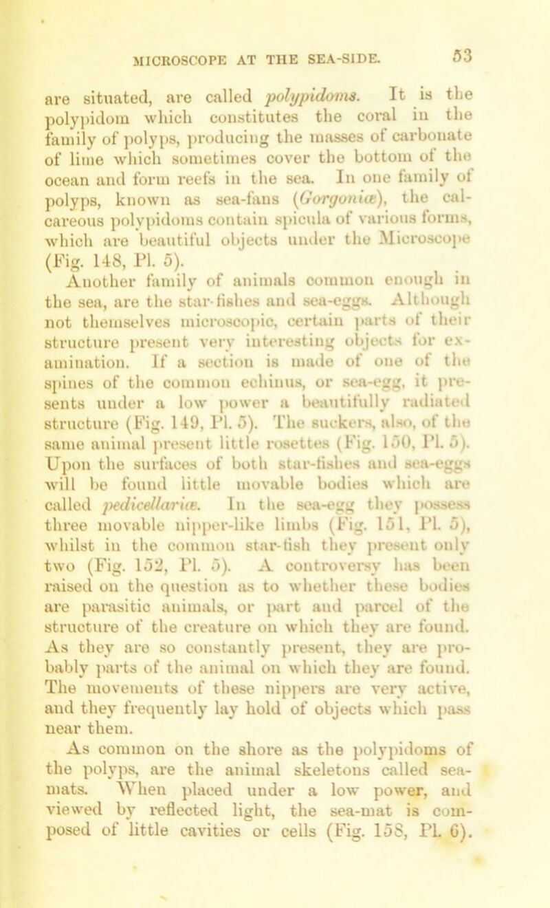 are situated, are called polypidoms. It is tlie polypidom which constitutes the coml in the family of ])olyps, producing the masses of carbonate of lime which sometimes cover the bottom ot the ocean and form reefs in the sea. In one family ot polyps, known as sea-fans {Goryoniie), the cal- careous polypidoms contain spicula of various forms, which are beautiful objects under the Microscope (Fig. 148, FI. 5). Another family of animals common enough in the sea, are the star-fishes and sea-eggs. Although not themselves micniscopic, certain parts ot their structure pre.sent very interesting objects for e.\- amination. If a section is made ot one ot the spines of the common echinus, or si>a-egg, it pre- sents under a low power a beautifully nuliated structure (Fig. 149, 1‘1. 5). The suckers, also, of the same animal luv.seut little rosettes (Fig. 150, FI. 5). Upon the surfaces of both star-tishes and sea-eggs will be fouml little movable bodies which are called j^dicellarke. In tlie sea-egg they posse.ss three movable nipper-like limbs (Fig. 151, FI. 5), whilst in the common star-tish they present only two (Fig. 152, FI. 5). A controveiNV has been raised on the question as to whether the.se bodies are parasitic animals, or juut and parcel of the structure of the creature on which they are found. As they are so constantly pre.sent, they are i>ro- bably parts of the animal on which they are found. The movements of these nippei*s are very active, and they frequently lay hold of objects which pass near them. As common on the shore as the polypidoms of the polyps, are the animal skeletons called sea- mats. When })laced under a low power, and viewed by i*eflected light, the sea-mat is com- posed of little cavities or cells (Fig. 15S, FL 0).