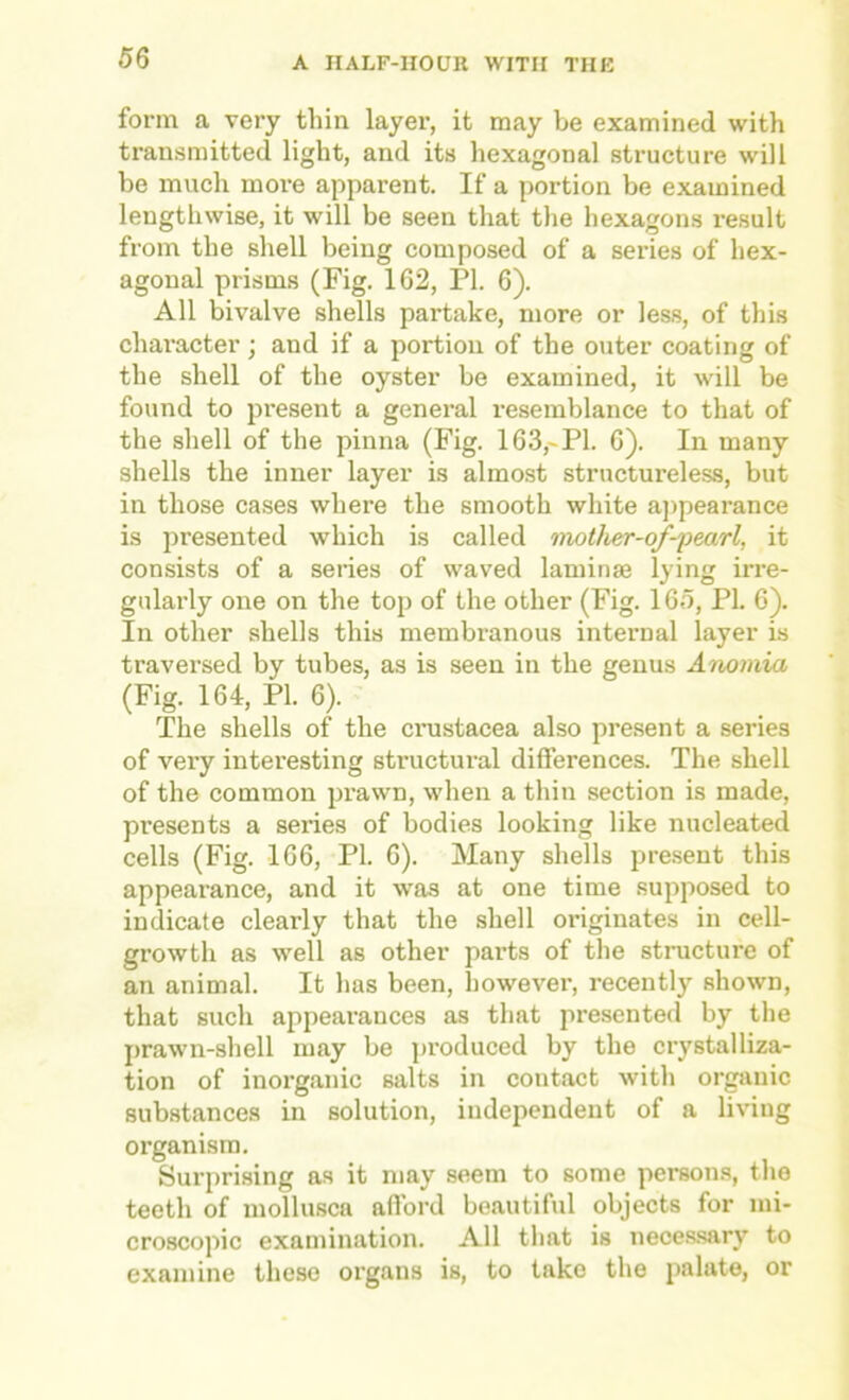 form a very thin layer, it may be examined with transmitted light, and its hexagonal structure will be much more apparent. If a portion be examined lengthwise, it will be seen that the hexagons result from the shell being composed of a series of hex- agonal prisms (Fig. 162, PI. 6). All bivalve shells partake, more or less, of this character ■ and if a portion of the outer coating of the shell of the oyster be examined, it will be found to present a general resemblance to that of the shell of the pinna (Fig. 163,-PI. G). In many shells the inner layer is almost structureless, but in those cases where the smooth white aj)pearance is presented which is called mother-of-jiearl, it consists of a series of waved laminae lying irre- gularly one on the top of the other (Fig. 165, PI. 6). In other shells this membranous internal layer is traversed by tubes, as is seen in the genus Anomia (Fig. 164, PI. 6). The shells of the Crustacea also present a series of very interesting structural differences. The shell of the common prawn, when a thin section is made, presents a series of bodies looking like nucleated cells (Fig. 166, PI. 6). Many shells present this appearance, and it was at one time supposed to indicate clearly that the shell originates in cell- growth as well as other parts of the structure of an animal. It has been, however, recently shown, that such appearances as that presented by the prawn-shell may be j)roduced by the crystalliza- tion of inorganic salts in contact with organic substances in solution, independent of a living organism. Surprising as it may seem to some persons, the teeth of mollusca aflbrd beautiful objects for mi- croscopic examination. All that is neces.sary to examine these organs is, to take the palate, or