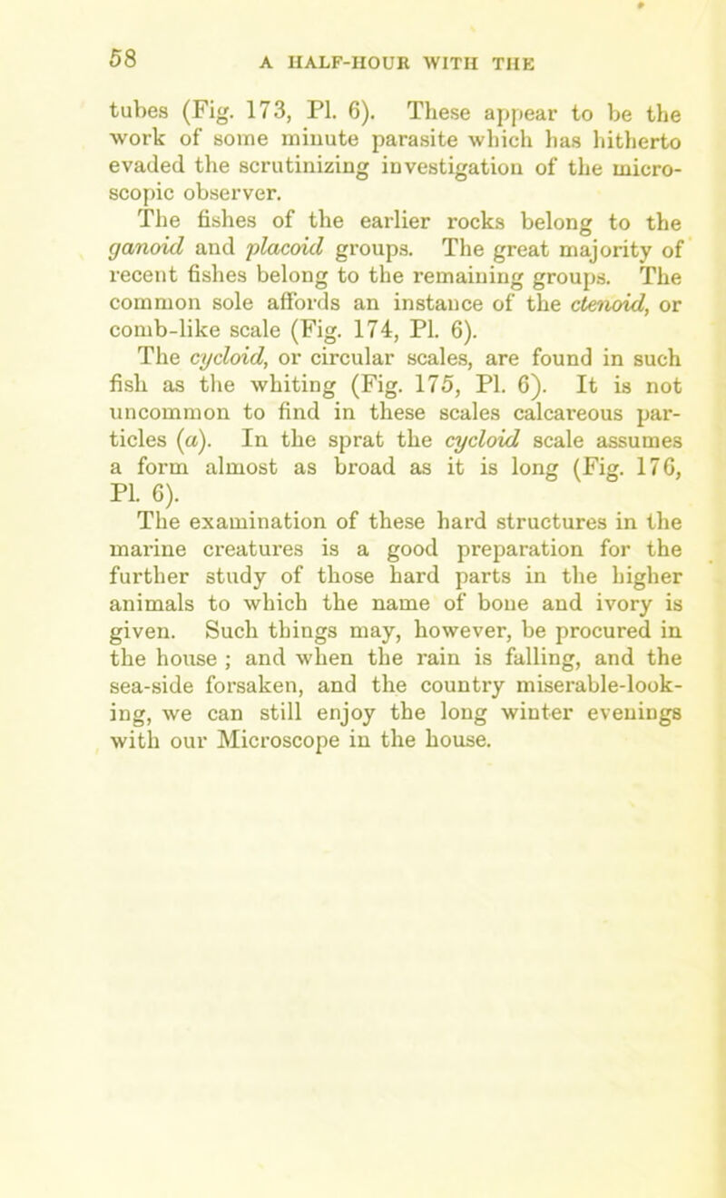 tubes (Fig. 173, PI. 6). These appear to be the work of some miuute parasite which has hitherto evaded the scrutinizing investigation of the micro- scopic observer. The fishes of the earlier rocks belong to the ganoid and placoid groups. The great majority of recent fishes belong to the remaining groups. The common sole affords an instance of the ctenoid, or comb-like scale (Fig. 174, PI. 6). The cycloid, or circular scales, are found in such fish as the whiting (Fig. 175, PI. 6). It is not uncommon to find in these scales calcareous par- ticles (a). In the sprat the cycloid scale assumes a form almost as broad as it is long (Fig. 17G, PI. 6). The examination of these hard structures in the marine creatures is a good preparation for the further study of those hard parts in the higher animals to which the name of bone and ivory is given. Such things may, however, be procured in the house ; and when the rain is falling, and the sea-side forsaken, and the country miserable-look- ing, we can still enjoy the long winter evenings with our Microscope in the house.