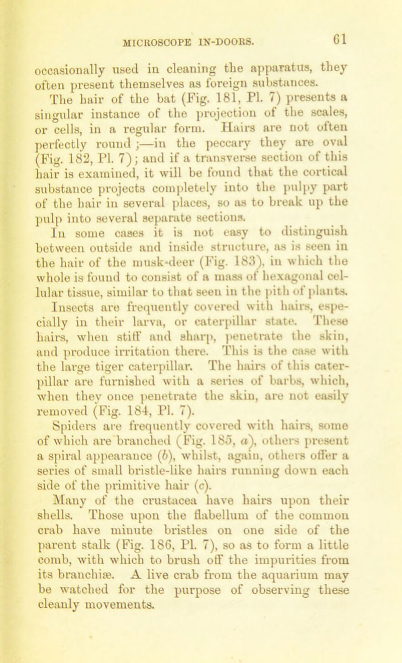 G1 occasionally used in cleaning the apparatus, they often present themselves as foreign substances. The hair of the bat (Fig. 181, PI. 7) presents a singular instance of the projection of the scales, or cells, in a regular form. Hairs are not often perfectly rouml ;—in the peccary they are oval (Fig. 182, PI. 7); and if a transverse section of this hair is examined, it will be ftnind that the cortical substance projects completely into the juilpy part of the hair in several places, so as to break up the pulp into several separate sections. In some cases it is not easy to distinguish between outsiile and inside structure, as is seen in the hair of the musk*deer (Fig. 183), in which the whole is found to consist of a mass of liexagonal cel- lular tissue, similar to that seen in the |>ith of plants. Insects are freipiently covered with haii-s, espe- cially in their larva, or caterpillar state. The.se hairs, when stiff and sharp, penetnite the akin, and produce irritation there. This is the ca.se with the large tiger caterpillar. The hairs of this cater- pillar are furnished with a series of barbs, which, when they once penetrate the skin, are not easily removed (Fig. 18I, PI. 7). Spiders are frequently covered with hairs, some of which are branched (Fig. 185, a), othei*s jiresent a sjiiral appeai'ance (6), whilst, again, othein offer a series of small bristle-like hail's running down each side of the primitive hair (c). INIauy of the Crustacea have hairs upon their shells. Those upon the flabellum of the common crab have minute bristles on one side of the parent stalk (Fig. 186, PI. 7), so as to form a little comb, with which to brush off the impurities from its branchiie. A live ci'ab from the aquarium may be watched for the purpose of observing these cleanly movements.