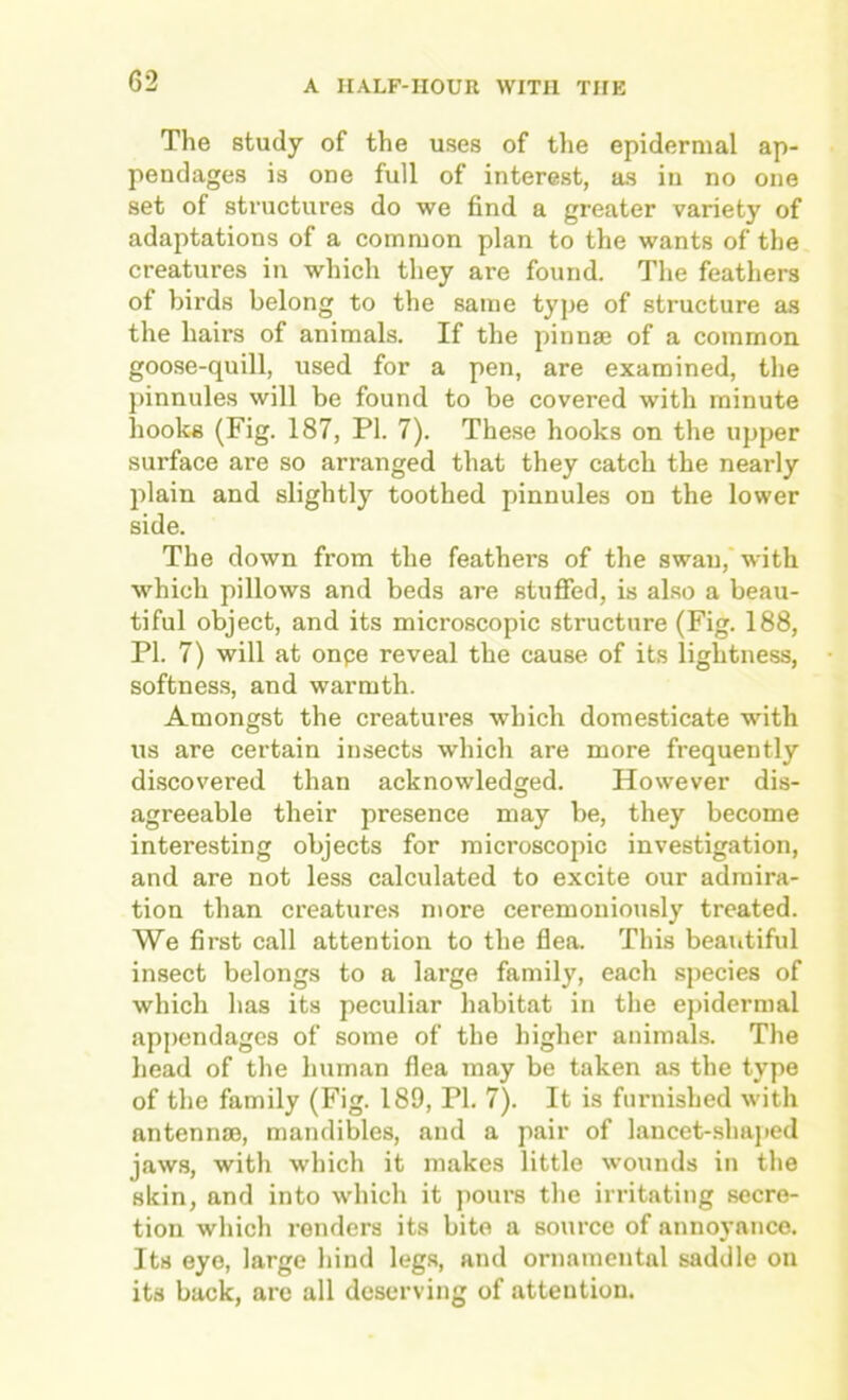 The study of the uses of tlie epidermal ap- pendages is one full of interest, as in no one set of structures do we find a greater variety of adaptations of a common plan to the wants of the creatures in which they are found. The feathers of birds belong to the same type of structure as the hairs of animals. If the pinnae of a common goose-quill, used for a pen, are examined, the pinnules will be found to be covered with minute hooks (Fig. 187, PI. 7). These hooks on the upper surface are so arranged that they catch the nearly plain and slightly toothed pinnules on the lower side. The down from the feathers of the swan,'with which pillows and beds are stuflTed, is also a beau- tiful object, and its microscopic structure (Fig. 188, PI. 7) will at onpe reveal the cause of its lightness, softness, and warmth. Amongst the creatures which domesticate with us are certain insects which are more frequently discovered than acknowledged. However dis- agreeable their presence may be, they become interesting objects for microscopic investigation, and are not less calculated to excite our admira- tion than creatures more ceremoniously treated. We first call attention to the flea. This beaiitiful insect belongs to a large family, each species of which has its peculiar habitat in the epidermal appendages of some of the higher animals. The head of the human flea may be taken as the type of the family (Fig. 189, PI. 7). It is furnished with antennm, mandibles, and a pair of lancet-.shajied jaws, with which it makes little wounds in the skin, and into which it pours the irritating secre- tion which renders its bite a source of annoyance. Its eye, large hind legs, and ornamental saddle on its back, are all deserving of attention.