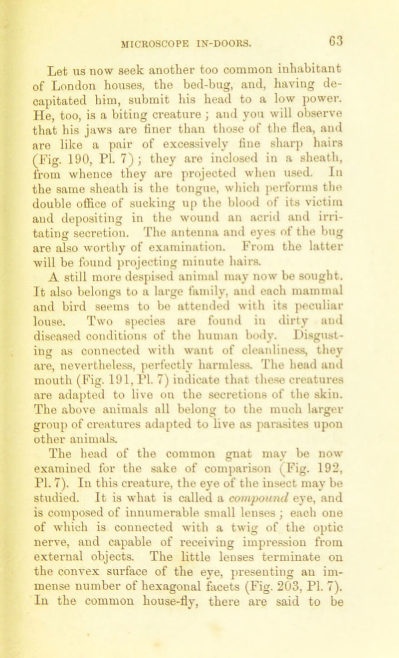 Let us now seek another too common inhabitant of London hou-ses, the bed-bug, and, having de- capitated him, submit liis head to a low power. He, too, is a biting creature ; and you will observe that his jaws are finer than tliose of the flea, and are like a pair of excessively fine sharp hairs (Fig. 190, PI. 7); they are inclosed in a sheath, from whence they are projected when u.sed. In the same sheath is the tongue, which performs the double office of sucking up the blood of its victim and depositing in the wound an acrid and irri- tating secretion. The antenna and eyes of the bug are also worthy of examination. From the latter will be found projecting minute hairs. A still more despised animal may now be sought. It also belongs to a large family, anil each mammal and bird seems to be attended with its [>eculiar louse. Two species are found in dirty ami diseased conditions of the human body. Di.sgust- ing as connected with want of cleaidiness, they are, nevertheless, perfectly harmles.s. The head ami mouth (Fig. 191, PI. 7) indicate that the.se creatures are ailajited to live on the secretions of the .skin. The above animals all belong to the much larger group of creatures adapted to live as jiarasites upon other animals. The head of the common {niat mav be now examined for the sake of comparison (Fig. 192, PI. 7). In this creature, the eye of the insect may be studied. It is what is called a compound eye, and is composed of innumerable small lenses ; each one of which is connected with a twig of the optic nerve, and capable of receiving impression from e.xternal objects. The little lenses terminate on the convex surface of the eye, presenting an im- mense number of hexagonal facets (Fig. 203, PI. 7). In the common house-fly, there ai’e said to be