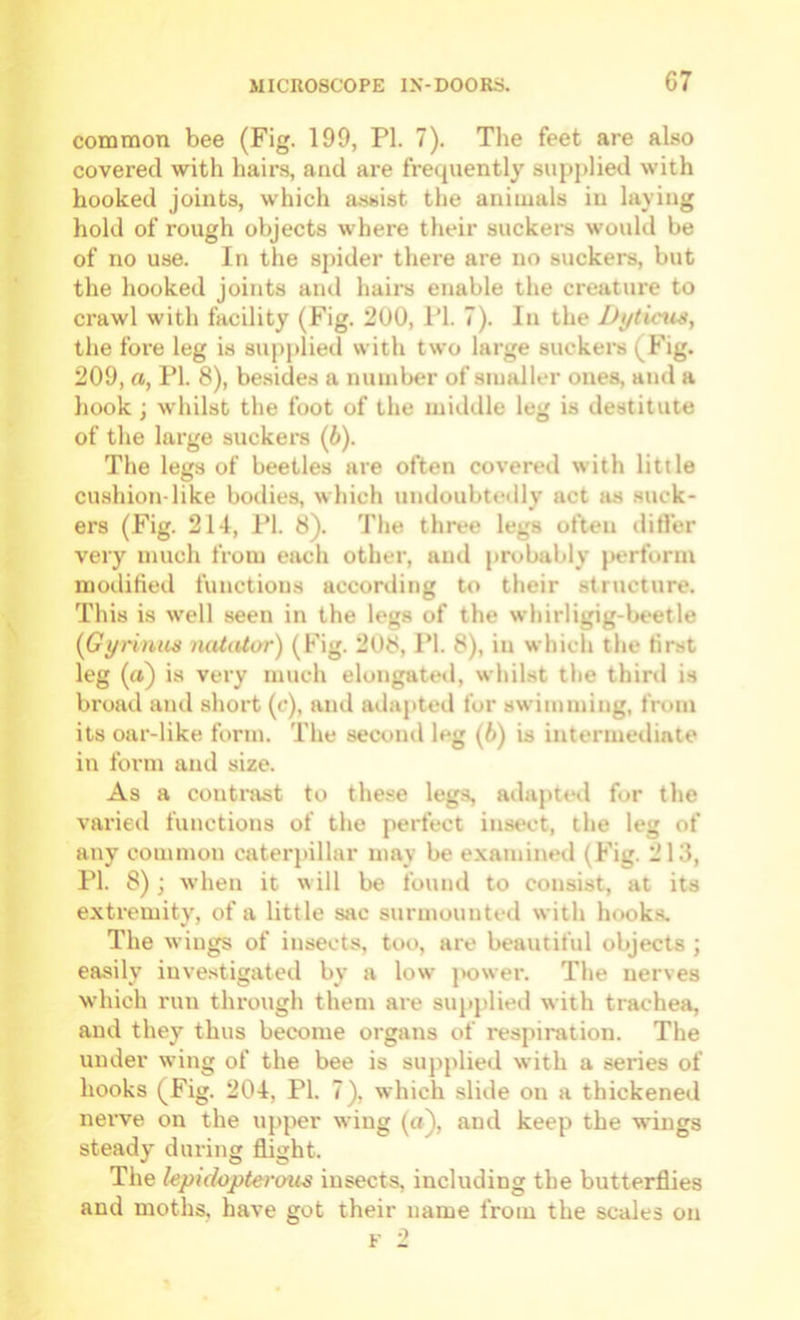 common bee (Fig. 199, PI. 7). The feet are also covered with hairs, and are frequently supplied with hooked joints, which assist the animals in laying hold of rough objects where their suckei's would be of no use. In the spider there are no suckers, but the hooked joints and hairs enable the creature to crawl with facility (Fig. 200, I’l. 7). In the Dytinis, the fore leg is supplied with two large suckei’s (Fig. 209, a, PI. 8), besides a number of smaller ones, and a hook ; whilst the foot of the middle leg is destitute of the large suckers (6). The legs of beetles are often covered with little cushion-like bodies, which undoubteilly act as suck- ers (Fig. 214, PI. 8). The three legs often ditfer very much from each other, and probably perform modified functions according to their structure. This is well seen in the legs of the whirligig-bt*etle (Gyrimis luUtUor) (Fig. 208, PI. 8), in whicii the first leg (a) is very much elongated, whilst the third is broad and short (c), and adapted for swimming, from its oar-like form. The second leg (6) is intermediate in form and size. As a conti-ast to these legs, adapted for the varied functions of the perfect insect, the leg of any common caterpillar may be examined (Fig. 213, PI. 8) j when it will be found to consist, at its extremity, of a little sac surmounted with hooks. The wings of insects, too, are beautiful objects ; easily investigated by a low power. The nerves which run through them are supplied with trachea, and they thus become organs of respiration. The under wing of the bee is supplied with a series of hooks (Fig. 204, PI. 7), which slide on a thickened nerve on the upper wing (a), and keep the wings steady during flight. The lepidopterous insects, including the butterflies and moths, have got their name from the scales on F 2