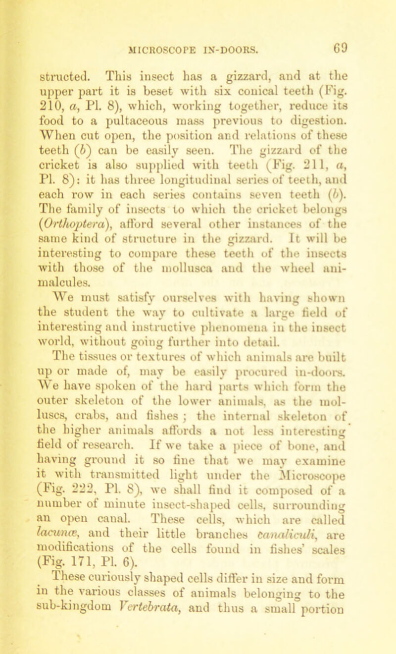 GO structed. This insect has a gizzard, and at the upper part it is beset with six conical teeth (Fig. 210, a, PI. 8), which, working together, reduce its food to a pultaceous mass previous to digestion. When cut open, the position and relations of these teeth (6) can be easily seen. The gizzjird of the cricket is also supplied with teeth (Fig. 211, a, PI. 8): it has three longitudinal series of teeth, and each row in each series contains seven teeth (i). Tlie family of insects to which the cricket belongs {Orthoptera), alford several other instances of the same kind of structure in the gizzard. It will be interesting to compare these teeth of the insects with those of the mollusca and the wheel ani- malcules. AVe must satisfy ourselves with having shown the student the way to cultivate a large field of interesting and instructive phenomena in the insect world, without going further into detail. The tissues or textures of which animals are built up or made of, may be easily procured in-dot>rs. A\ e have spoken of the hard parts which form the outer skeleton of the lower animals, as the mol- luscs, crabs, and fishes ; the internal skeleton of the higher animals affords a not less interesting field of research. If we take a piece of bone, and having ground it so fine that we may examine it with transmitted light umler the Alicro.scope (Fig. 222, PI. 8), we shall find it composed of a number of minute iusect-shaped cell.s, surrounding au open canal. These cells, which are called lacuna, and their little branches Canaliculi, are modifications of the cells found in fishes’ scales (Fig. 171, PI. 6). Ihese curiously shaped cells differ in size and form in the various classes of animals belonging to the sub-kingdom Vertebrata, and thus a small portion