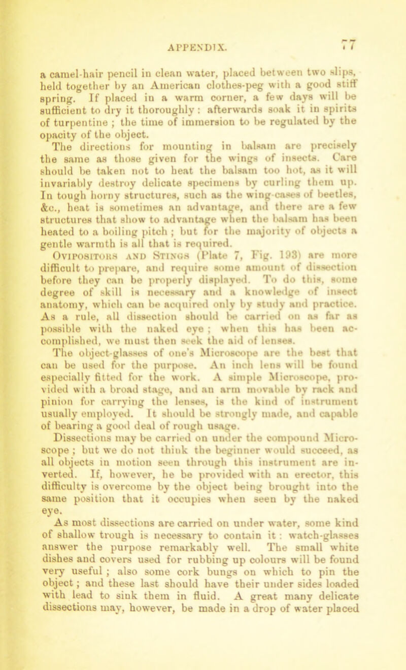 a camel-hair pencil in clean water, placed between two slips, held together by an American clothes-peg with a good stiff spring. If placed in a warm corner, a few days will be sufficient to dry it thoroughly : afterwards soak it in spirits of turpentine ; the time of immersion to be regulated by the opacity of the object. The directions for mounting in l>alHain are precisely the same as those given for the wings of insects. Care should be taken not to heat the balsam too hot, as it will invariably destroy delicate specimens by curling them up. In tough horny structures, such as the wing-cases of beetles, &c., heat is sometimes an advantage, and there are a few structures that show to advantage when the Italsam has been heated to a boiling i>itch ; but for the majority of objects a gentle warmth is all that is required. OviPosiToits AND SriNOrt (Plate 7, Fig- 193) are more difficult to prepare, and require some amount of dissection before they can be properly displayeil. To do this, some degree of skill is necessary and a knowletlge of insect anatomy, which can be acquired only by stuily ami practice. As a rule, all dissection should Ire carried on as far as possible with the naked eye ; when this has been ac- cuin])lished, we must then seek the aid of lenses. The object-glasses of one’s Microscope are the best that can be used for the purpose. An inch lens will Ire found especially fitted for the work. A simple Microscope, pro- vided with a broad stage, and an arm movable by rack and pinion fur carrying the lenses, is the kind of instrument usually employed. It should be strongly made, and ca|rable of bearing a good deal of rough usage. Dissections may be carried on under the comjround Micro- scope ; but we do not think the beginner would succeed, as all objects in motion seeu through this instrument are in- verted. If, however, he be provided with an erector, this difficulty is overcome by the object being brought into the same position that it occupies when seeu by the naked eye. As most dissections are carried on under water, some kind of shallow trough is necessary to contain it: watch-glasses answer the purpose remai-kably well. The small white dishes and covers used for rubbing up colours will be found vepr useful ; also some cork bungs on which to pin the object; and these last should have their under sides loaded with lead to sink them in fluid. A great many delicate dissections may, however, be made in a drop of water placed