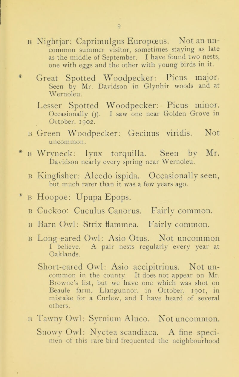 B Nightjar: Caprimulgiis Europceus. Not an un- common summer visitor, sometimes staying as late as the middle of September. I have found two nests, one with eggs and the other with young birds in it. Great Spotted Woodpecker: Piciis major. Seen by Mr. Davidson in Glynhir woods and at Wernoleu. Lesser Spotted Woodpecker: Picus minor. Occasionally (j). I saw one near Golden Grove in October, 1902. R Green Woodpecker: Gecinus viridis. Not uncommon. B Wrvneck: lynx torquilla. vSeen by Mr. Davidson nearly every spring near Wernoleu. R Kingfisher: Alcedo ispida. Occasionally seen, but much rarer than it was a few years ago. B Hoopoe; Upupa Epops. B Cuckoo: Cuculus Canorus. Fairly common. R Barn Owl: Strix flammea. Fairlv common. R Long-eared Owl: Asio Otus. Not uncommon I believe. A pair nests regularly every year at Oaklands. Short-eared Owl: Asio accipitrinus. Not un- common in the county. It does not appear on Mr. Browne’s list, but we have one which was shot on Beaule farm, Llangunnor, in October, 1901, in mistake for a Curlew, and I have heard of several others. B Tawny Owl: Syrnium Aluco. Not uncommon. Snowy Ovvd: Nvctea scandiaca. A hne speci- men of this rare bird frequented the neighbourhood