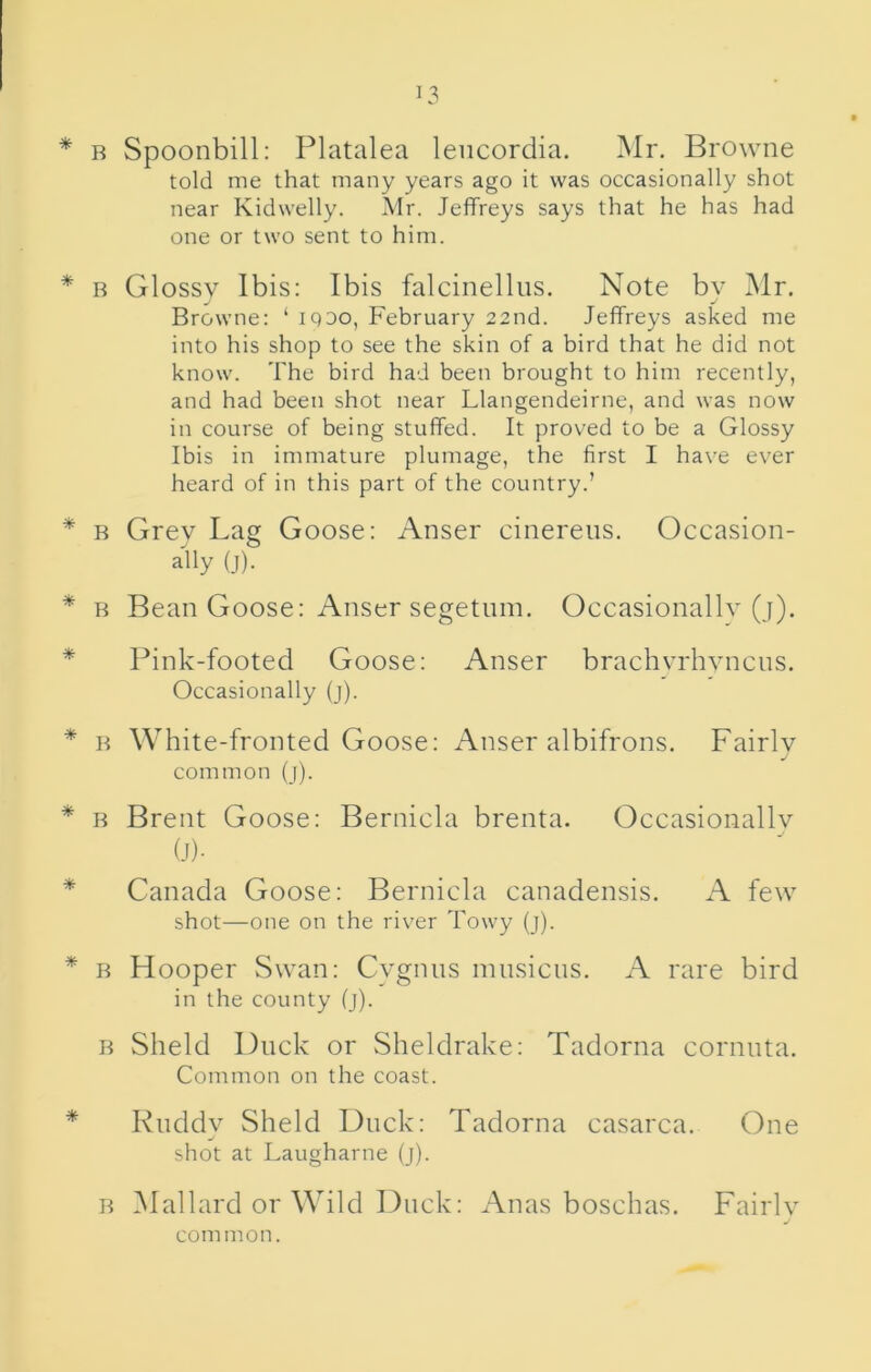 * B Spoonbill: Platalea leiicordia. Mr. Browne told me that many years ago it was occasionally shot near Kidwelly. Mr. Jeffreys says that he has had one or two sent to him. * B Glossv Ibis: Ibis falcinellus. Note bv Mr. Browne: ‘ iqdo, February 22nd. Jeffreys asked me into his shop to see the skin of a bird that he did not know. The bird had been brought to him recently, and had been shot near Llangendeirne, and was now in course of being stuffed. It proved to be a Glossy Ibis in immature plumage, the first I have ever heard of in this part of the country.’ * B Grev Lag Goose: Anser cinereus. Occasion- ally (j). * B Bean Goose: Anser segetnm. Occasionallv (j). * Pink-footed Goose: Anser brachvrhvncns. Occasionally (j). * B White-fronted Goose: Anser albifrons. Fairlv common (j). * B Brent Goose: Bernicla brenta. Occasionallv 0)- * Canada Goose: Bernicla canadensis. A few shot—one on the river Towy (j). * B Hooper Swan: Cvgnus mnsiciis. A rare bird in the county (j). B Sheld Duck or Sheldrake: Tadorna cornuta. Common on the coast. * Knddy Sheld Duck: Tadorna casarca. One shot at Laugharne (j). B Mallard or Wild Duck: Anas boschas. Fairlv