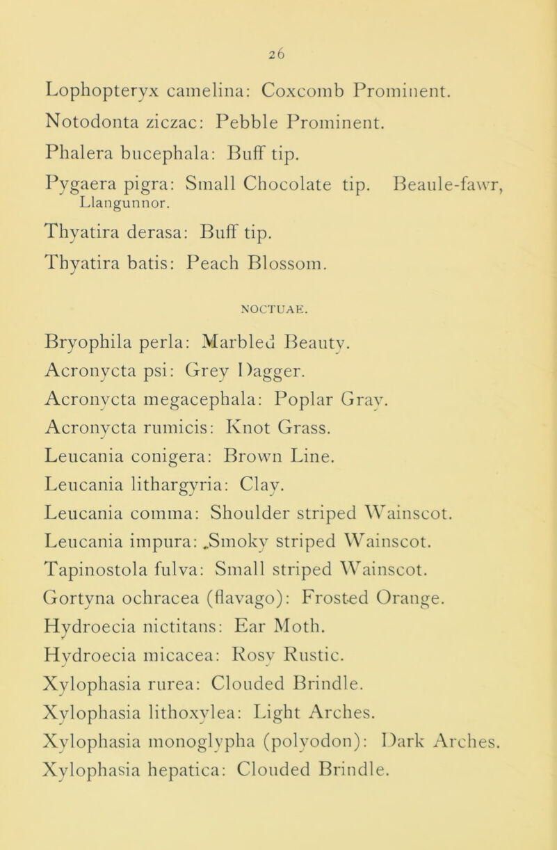 Lophopteryx camelina: Coxcomb Prominent. Notodonta ziczac: Pebble Prominent. Phalera bncephala: BnfF tip. Pygaera pigra: Small Chocolate tip. Peaiile-fawr, Llangunnor. Thyatira derasa: Buff tip. Thyatira batis: Peach Blossom. NOCTUAK. Bryophila perla: Marbled Beaiitv. Acronycta psi: Grey Dagger. Acronycta megacephala: Poplar Grav. Acronvcta rumicis: Knot Grass. Leiicania conigera: Brown Line. Lencania lithargyria: Clay. Leiicania comma: Shoulder striped Wainscot. Lencania impnra: ^Smokv striped Wainscot. Tapinostola fiilva: Small striped Wainscot. Gortyna ochracea (havago): Frost-ed Orange. Hvdroecia nictitans: Ear Moth. Hvdroecia micacea: Rosv Rustic. j Xylophasia riirea: Clouded Brindle. Xylophasia lithoxylea: Light Arches. Xylophasia monoglypha (polyodon): Dark Arches. Xylophasia hepatica: Clouded Brindle.