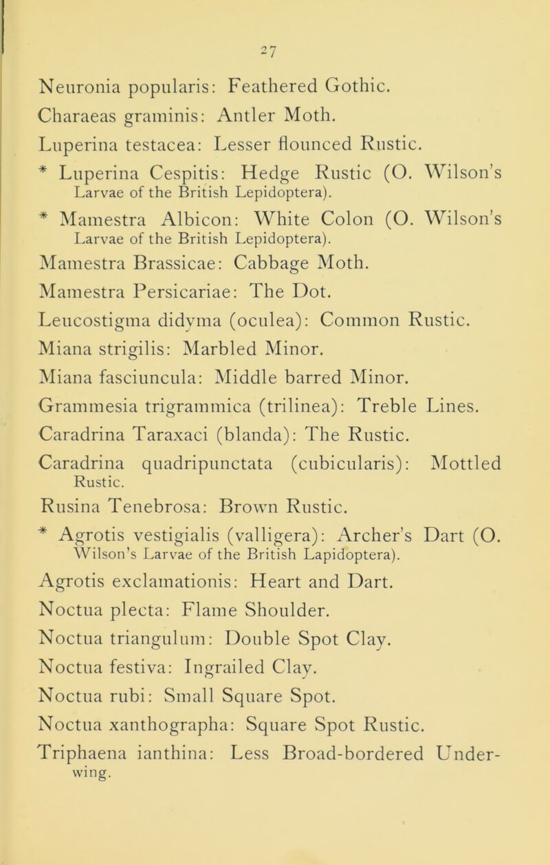 Neuronia popularis: Feathered Gothic. Charaeas graminis: Antler Moth. Luperina testacea: Lesser flounced Rustic. * Luperina Cespitis: Hedge Rustic (O. Wilson’s Larvae of the British Lepidoptera). * Mamestra Albicon: White Colon (O. Wilson’s Larvae of the British Lepidoptera). Mamestra Brassicae: Cabbage Moth. Mamestra Persicariae; The Dot. Leucostigma didyma (oculea): Common Rustic. Miana strigilis: Marbled Minor. Miana fasciuncula: Middle barred Minor. Grammesia trigrammica (trilinea): Treble Lines. Caradrina Taraxaci (blanda): The Rustic. Caradrina quadripunctata (cubicularis): Mottled Rustic. Rusina Tenebrosa: Brown Rustic. * Agrotis vestigialis (valligera): Archer’s Dart (O. Wilson’s Larvae of the British Lapidoptera). Agrotis exclamationis; Heart and Dart. Noctua plecta: Flame Shoulder. Noctua triangulum; Double Spot Clay. Noctua festiva: Ingrailed Clay. Noctua rubi: Small Square Spot. Noctua xanthographa: Square Spot Rustic. Triphaena ianthina: Less Broad-bordered Under- wing.