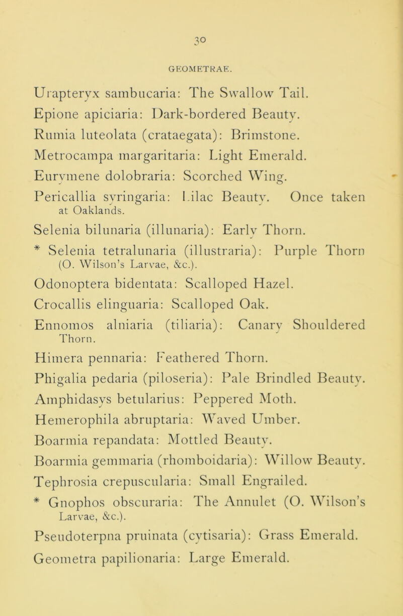 GKOMETRAK. Urapteryx sambiicaria: The Swallow Tail. Epione apiciaria; Dark-bordered Beautv. Rumia luteolata (crataegata): Brimstone. Metrocampa margaritaria; Light Emerald. Eiirvmene dolobraria: Scorched Wing. Pericallia syringaria: l ilac Beantv. Once taken at Oaklands. Selenia bilimaria (illimaria): Earlv Thorn. * Selenia tetrahmaria (illustraria): Purple Thorn (O. Wilson’s Larvae, &c.). Odonoptera bidentata: Scalloped Hazel. Crocallis elinguaria: Scalloped Oak. Ennomos alniaria (tiliaria): Canary Shonldered Thorn. Himera pennaria: Feathered Thorn. Phigalia pedaria (piloseria): Pale Brindled Beauty. Amphidasvs betnlarius: Peppered IMoth. Hemerophila abruptaria: Waved Umber. Boarmia repandata: Mottled Beauty. Boarmia gemmaria (rhomboidaria): Willow Beauty. Tephrosia crepnscularia: Small Engrailed. * Gnophos obscuraria: The Annulet (O. Wilson’s Larvae, &c.). Pseudoterpna prninata (cvtisaria): Grass Emerald. Geometra papilionaria: Large Emerald.