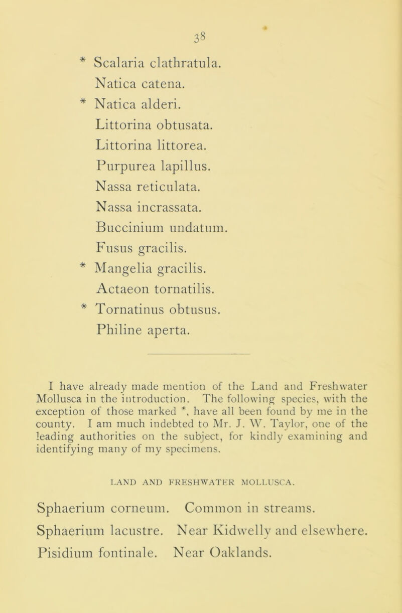 * Scalaria clathratiila, Natica catena. * Natica alderi. Littorina obtusata. Littorina littorea. Purpurea lapillus. Nassa reticulata. Nassa iucrassata. Buccinium undatuiu. Fusus gracilis. * Mangelia gracilis. Actaeon tornatilis. * Tornatinus obtusus. Philine aperta. I have already made mention of the Land and Freshwater Mollusca in the introduction. The following species, with the exception of those marked *. have all been found by me in the county. I am much indebted to Air. J. W. Taylor, one of the leading authorities on the subject, for kindly examining and identifying many of my specimens. LAND AND FRP:SHWATKR MOLLUSCA. Sphaeriulu corueiuu. Comiuou iu streams. Sphaerium lacustre. Near Kidwellv and elsewhere. Pisidium foutiuale. Near Oaklauds.