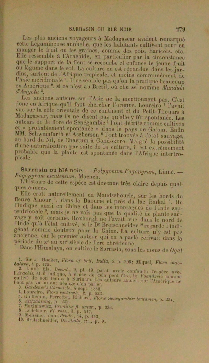 Les plus anciens voyageurs à Madagascar avaient remarqué cette Légumineuse annuelle, que les habitants cultivent pour en manger le fruit ou les graines, comme des pois, haricots, etc. Elle ressemble à l’Arachide, en particulier par la circonstance que le support de la fleur se recourbe et enfonce le jeune fruit ou légume dans le sol. La culture en est répandue dans les jar- dins, surtout de l'Afrique tropicale, et moins communément de 1 Asie méridionale 1. 11 ne semble pas qu’on la pratique beaucoup en Amérique *, si ce n’est au Brésil, où elle se nomme Mandubi d Angola 3. Les anciens auteurs sur l’Asie ne la mentionnent pas. C’est donc en Afrique qu’il faut chercher l’origine. Loureiro * l’avait vue sur la côte orientale de ce continent et du Petil-Thouars à Madagascar, mais ils ne disent pas qu’elle y fût spontanée. Les auteurs de la flore de Sénégambie5 l’ont décrite comme cultivée et « probablement spontanée » dans le pays de Galam. Enfin MM. Schweinfurth et Ascherson 6 l’ont trouvée à l’état sauvage au bord du Nil, de Chartum à Gondokoro. Malgré la possibilité d une naturalisation par suite de la culture, il est extrêmement probable que la plante est spontanée dans l’Afrique intertro- picale. Sarrasin ou blé noir. — Polygonum Fagornirum, Linné. — ragopyrum esculentum, Moench. L’histoire de cette espèce est devenue très claire depuis ouel- ques années. n Elle croît naturellement en Mandschourie, sur les bords du fleuve Amour 7, dans la Daourie et près du lac Baïkal 8. On indique aussi en Chine et dans les montagnes de l’Inde sep- tentrionale , mais je ne vois pas que la qualité de plante sau- vage y soit certaine. Roxburgh ne l’avait vue dans le nord de 1 Inde qu a 1 état cultivé, et le De Bretschneider10 regarde l’indi- genat comme douteux pour la Chine. La culture n y est pas ancienne car le premier auteur qui en a parlé écrivait dans la période du xe au xii# siècle do l’èro chrétienne. Dans l’Himalaya, on cultive le Sarrasin, sous les noms de Ogal bataufi* l Jp. nT.ker’ Fl°ra 0/ 6''iL India’ 2 p- 203 ; *Mi(Iuel' Flora uVnHÏÏïï--’ 2’ para,t a'voir confondu l'espèce ave. cultfvé”’esonde, CC,a 1« VoamtzX, comme srjuVs M « 3. Gardcner s Chronicle, 4 sept 1880. 4. Loureiro, Flora cochinch., 2, p. 523. 6. BiChan ’ l'L°ræ Senp0ambiæ lentamen, p. 23*. 7. Muxiuiowicz, Primiliæ fl. amur., p. 230. 8. Ledebonr, Fl. ross., 3, p. 517. 9. Meissuer, dans Prodr., 14, p. 443. 10. Bretsclmeidèr, On ïtudij, etc., p. 9.