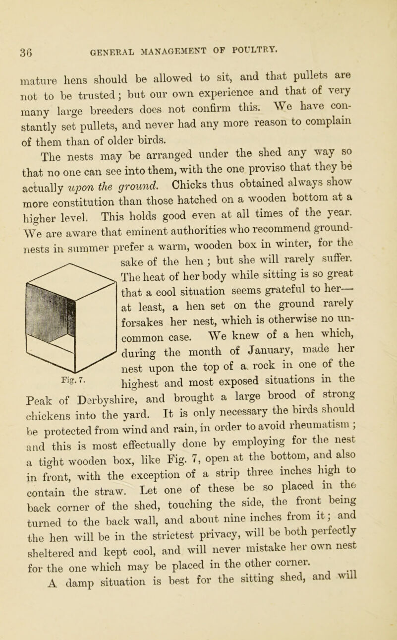 mature hens should be allowed to sit, and that pullets are not to be trusted; but our own experience and that of very many large breeders does not confirm this. We have con- stantly set pullets, and never had any more reason to complain of them than of older birds. The nests may be arranged under the shed any way so that no one can see into them, with the one proviso that they be actually upon the ground. Chicks thus obtained always show more constitution than those hatched on a wooden bottom at a higher level. This holds good even at all times of the year. We are aware that eminent authorities who recommend ground nests in summer prefer a warm, wooden box in winter, for the sake of the hen \ but she will rarely sufFei. The heat of her body while sitting is so great that a cool situation seems grateful to her at least, a hen set on the ground iaiel} forsakes her nest, which is otherwise no un- common case. We knew of a hen which, during the month of January, made hei nest upon the top of a. rock in one of the highest and most exposed situations in the Peak of Derbyshire, and brought a large brood of strong chickens into the yard. It is only necessary the birds should be protected from wind and rain, in order to avoid rheumatism ; and this is most effectually done by employing for the nest a tight wooden box, like Fig. 7, open at the bottom, and also in front, with the exception of a strip three inches high to contain the straw. Let one of these be so placed m the back corner of the shed, touching the side, the front being turned to the back wall, and about nine inches from it; and the hen will be in the strictest privacy, will be both perfectly sheltered and kept cool, and will never mistake her own nest for the one which may be placed in the other corner. A damp situation is best for the sitting shed, and will