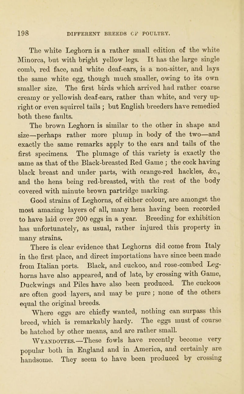 The white Leghorn is a rather small edition of the white Minorca, but with bright yellow legs. It has the large single comb, red face, and white deaf-ears, is a non-sitter, and lays the same white egg, though much smaller, owing to its own smaller size. The first birds which arrived had rather coarse creamy or yellowish deaf-ears, rather than white, and very up- right or even squirrel tails ; but English breeders have remedied both these faults. The brown Leghorn is similar to the other in shape and size—perhaps rather more plump in body of the two—and exactly the same remarks apply to the ears and tails of the first specimens. The plumage of this variety is exactly the same as that of the Black-breasted Red Game \ the cock having black breast and under parts, with orange-red hackles, &c., and the hens being red-breasted, with the rest of the body covered with minute brown partridge marking. Good strains of Leghorns, of either colour, are amongst the most amazing layers of all, many hens having been recorded to have laid over 200 eggs in a year. Breeding for exhibition has unfortunately, as usual, rather injured this property in many strains. There is clear evidence that Leghorns did come from Italy in the first place, and direct importations have since been made from Italian ports. Black, and cuckoo, and rose-combed Leg- horns have also appeared, and of late, by crossing with Game, Duckwings and Piles have also been produced. The cuckoos are often good layers, and may be pure ) none of the otheis equal the original breeds. Where eggs are chiefly wanted, nothing can surpass this breed, which is remarkably hardy. The eggs must of course be hatched by other means, and are rather small. Wyandottes.—These fowls have recently become very popular both in England and in America, and certainly are handsome. They seem to have been produced by crossing