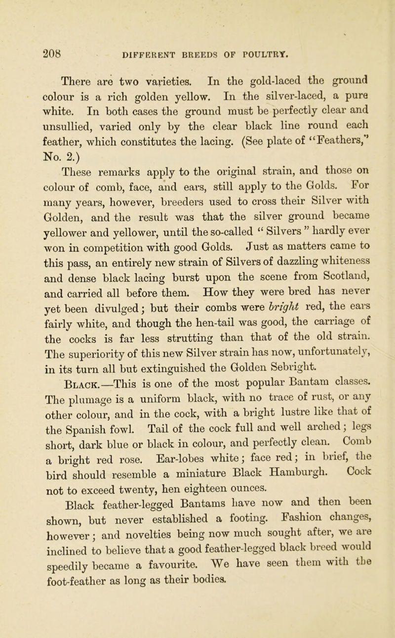 There are two varieties. In the gold-laced the ground colour is a rich golden yellow. In the silver-laced, a pure white. In both cases the ground must be perfectly clear and unsullied, varied only by the clear black line round each feather, which constitutes the lacing. (See plate of ‘‘Feathers, ’ No. 2.) These remarks apply to the original strain, and those on colour of comb, face, and ears, still apply to the Golds. For many years, however, breeders used to cross their Silver with Golden, and the result was that the silver ground became yellower and yellower, until the so-called “ Silvers ” hardly ever won in competition with good Golds. Just as matters came to this pass, an entirely new strain of Silvers of dazzling whiteness and dense black lacing burst upon the scene from Scotland, and carried all before them. How they were bred has never yet been divulged \ but their combs were bright red, the ears fairly white, and though the hen-tail was good, the carriage of the cocks is far less strutting than that of the old strain. The superiority of this new Silver strain has now, unfortunately, in its turn all but extinguished the Golden Sebright. Black.—This is one of the most popular Bantam classes. The plumage is a uniform black, with no trace of rust, or any other colour, and in the cock, with a bright lustre like that of the Spanish fowl. Tail of the cock full and well arched) legs short, dark blue or black in colour, and perfectly clean. Comb a bright red rose. Ear-lobes whiter face red, in biief, the bird should resemble a miniature Black Hamburgh. Cock not to exceed twenty, hen eighteen ounces. Black feather-legged Bantams have now and then been shown, but never established a tooting. Fashion changes, however; and novelties being now much sought after, we are inclined to believe that a good feather-legged black breed would speedily became a favourite. We have seen them with the foot-feather as long as their bodies.