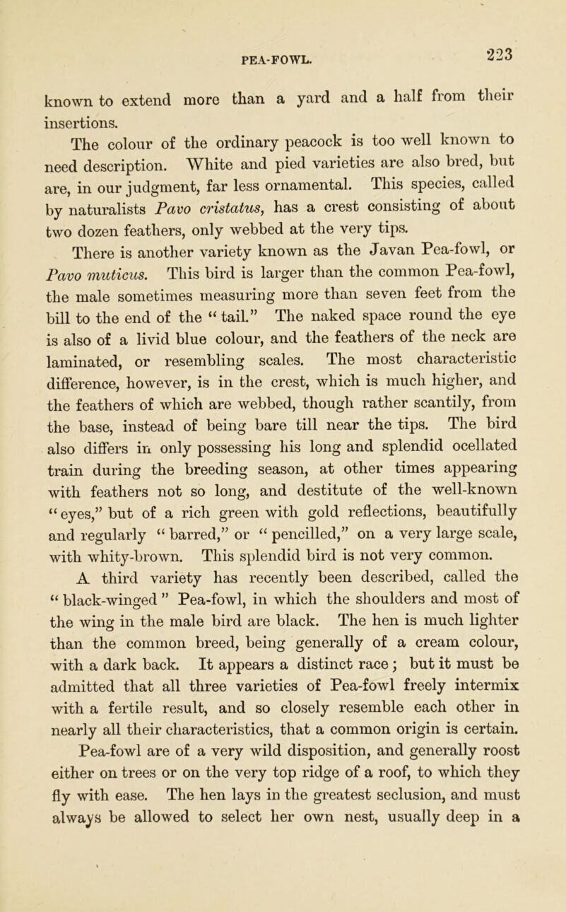 PEA-FOWL. known to extend more than a yard and a half from their insertions. The colour of the ordinary peacock is too well known to need description. White and pied varieties are also bred, but are, in our judgment, far less ornamental. This species, called by naturalists Pavo cristatus, has a crest consisting of about two dozen feathers, only webbed at the very tips. There is another variety known as the Javan Pea-fowl, or Pavo muticus. This bird is larger than the common Pea-fowl, the male sometimes measuring more than seven feet from the bill to the end of the “ tail.” The naked space round the eye is also of a livid blue colour, and the feathers of the neck are laminated, or resembling scales. The most characteristic difference, however, is in the crest, which is much higher, and the feathers of which are webbed, though rather scantily, from the base, instead of being bare till near the tips. The bird also differs in only possessing his long and splendid ocellated train during the breeding season, at other times appearing with feathers not so long, and destitute of the well-known “ eyes,” but of a rich green with gold reflections, beautifully and regularly “ barred,” or “ pencilled,” on a very large scale, with whity-brown. This splendid bird is not very common. A third variety has recently been described, called the “ black-winged ” Pea-fowl, in which the shoulders and most of the wing in the male bird are black. The hen is much lighter than the common breed, being generally of a cream colour, with a dark back. It appears a distinct race; but it must be admitted that all three varieties of Pea-fowl freely intermix with a fertile result, and so closely resemble each other in nearly all their characteristics, that a common origin is certain. Pea-fowl are of a very wild disposition, and generally roost either on trees or on the very top ridge of a roof, to which they fly with ease. The hen lays in the greatest seclusion, and must always be allowed to select her own nest, usually deep in a