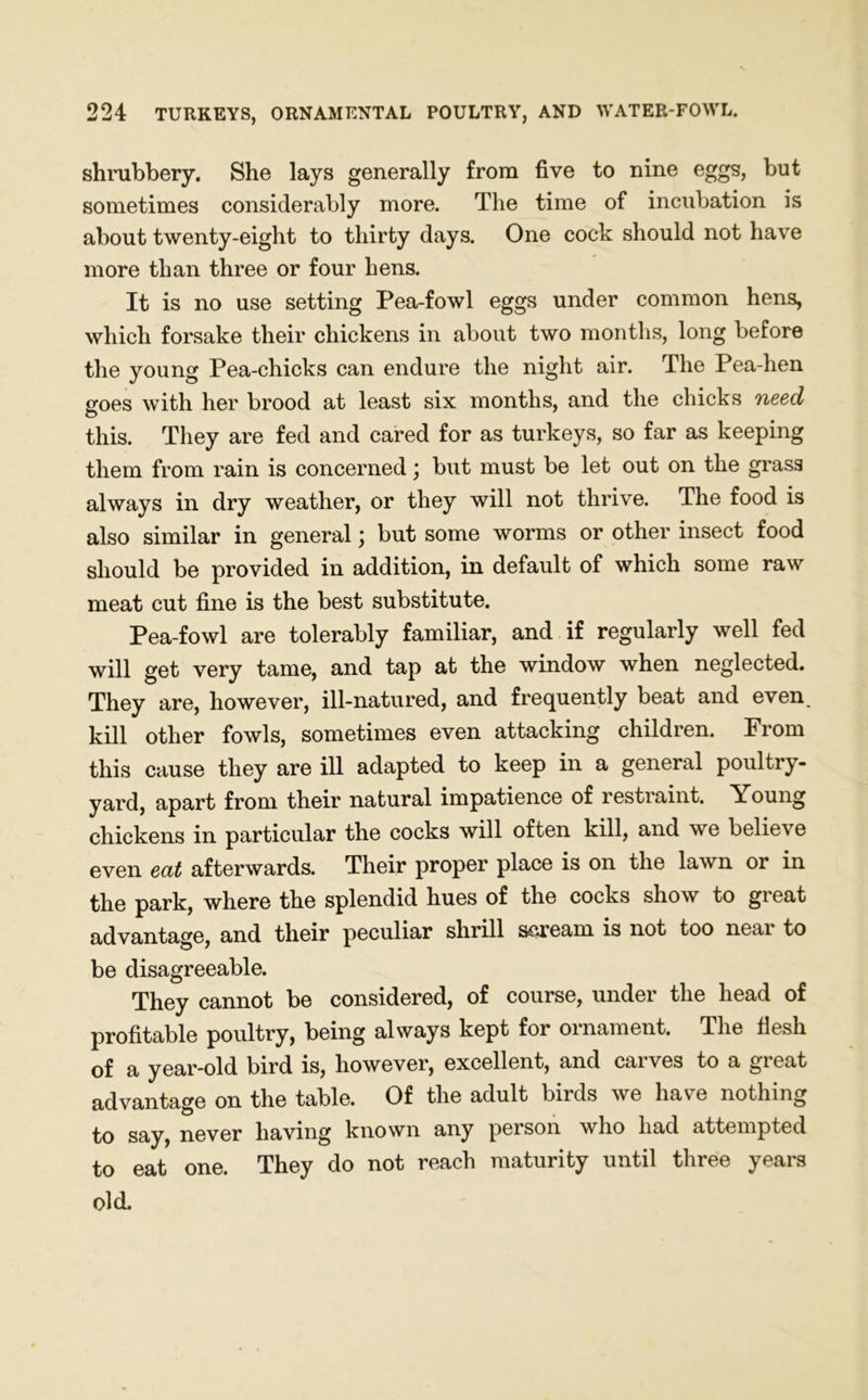 shrubbery. She lays generally from five to nine eggs, but sometimes considerably more. The time of incubation is about twenty-eight to thirty days. One cock should not have more than three or four hens. It is no use setting Pea-fowl eggs under common hens, which forsake their chickens in about two months, long before the young Pea-chicks can endure the night air. The Pea-hen goes with her brood at least six months, and the chicks need this. They are fed and cared for as turkeys, so far as keeping them from rain is concerned; but must be let out on the grass always in dry weather, or they will not thrive. The food is also similar in general; but some worms or other insect food should be provided in addition, in default of which some raw meat cut fine is the best substitute. Pea-fowl are tolerably familiar, and if regularly well fed will get very tame, and tap at the window when neglected. They are, however, ill-natured, and frequently beat and even kill other fowls, sometimes even attacking children. From this cause they are ill adapted to keep in a general poultry- yard, apart from their natural impatience of restraint. Young chickens in particular the cocks will often kill, and we believe even eat afterwards. Their proper place is on the lawn or in the park, where the splendid hues of the cocks show to great advantage, and their peculiar shrill scream is not too near to be disagreeable. They cannot be considered, of course, under the head of profitable poultry, being always kept for ornament. The flesh of a year-old bird is, however, excellent, and carves to a great advantage on the table. Of the adult birds we have nothing to say, never having known any person who had attempted to eat one. They do not reach maturity until three years old.