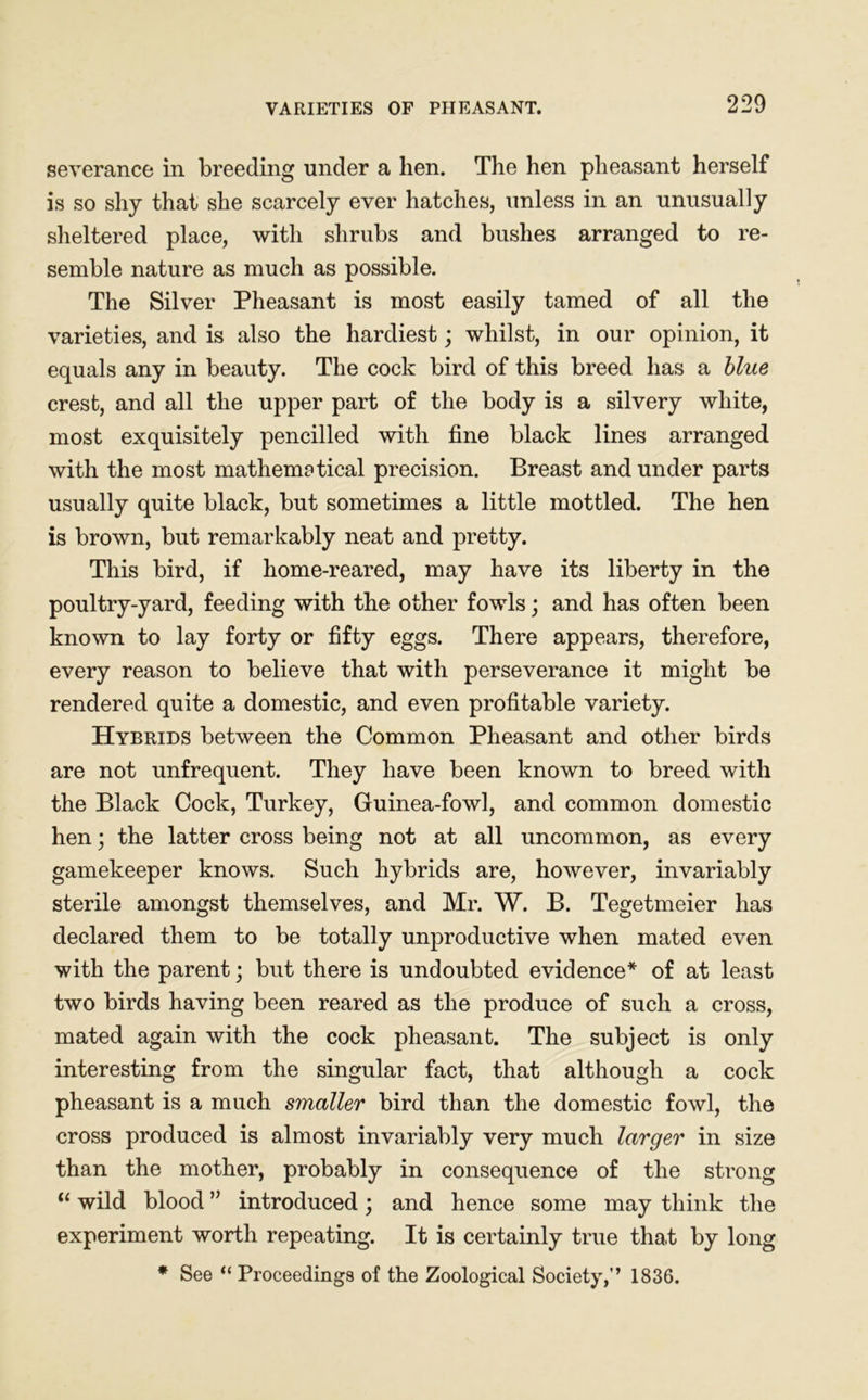 severance in breeding under a hen. The hen pheasant herself is so shy that she scarcely ever hatches, unless in an unusually sheltered place, with shrubs and bushes arranged to re- semble nature as much as possible. The Silver Pheasant is most easily tamed of all the varieties, and is also the hardiest; whilst, in our opinion, it equals any in beauty. The cock bird of this breed has a blue crest, and all the upper part of the body is a silvery white, most exquisitely pencilled with fine black lines arranged with the most mathematical precision. Breast and under parts usually quite black, but sometimes a little mottled. The hen is brown, but remarkably neat and pretty. This bird, if home-reared, may have its liberty in the poultry-yard, feeding with the other fowls; and has often been known to lay forty or fifty eggs. There appears, therefore, every reason to believe that with perseverance it might be rendered quite a domestic, and even profitable variety. Hybrids between the Common Pheasant and other birds are not unfrequent. They have been known to breed with the Black Cock, Turkey, Guinea-fowl, and common domestic hen; the latter cross being not at all uncommon, as every gamekeeper knows. Such hybrids are, however, invariably sterile amongst themselves, and Mr. W. B. Tegetmeier has declared them to be totally unproductive when mated even with the parent; but there is undoubted evidence* of at least two birds having been reared as the produce of such a cross, mated again with the cock pheasant. The subject is only interesting from the singular fact, that although a cock pheasant is a much smaller bird than the domestic fowl, the cross produced is almost invariably very much larger in size than the mother, probably in consequence of the strong “ wild blood ” introduced; and hence some may think the experiment worth repeating. It is certainly true that by long * See “ Proceedings of the Zoological Society,’’ 1836.