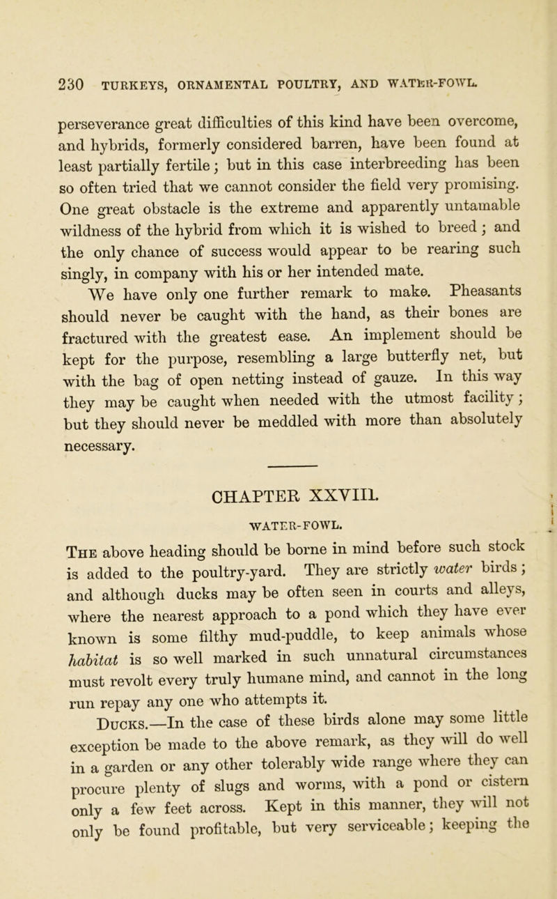 perseverance great difficulties of this kind have been overcome, and hybrids, formerly considered barren, have been found at least partially fertile; but in this case interbreeding has been so often tried that we cannot consider the field very promising. One great obstacle is the extreme and apparently untamable wildness of the hybrid from which it is wished to breed ; and the only chance of success would appear to be rearing such singly, in company with his or her intended mate. We have only one further remark to make. Pheasants should never be caught with the hand, as their bones are fractured with the greatest ease. An implement should be kept for the purpose, resembling a large butterfly net, but with the bag of open netting instead of gauze. In this way they may be caught when needed with the utmost facility; but they should never be meddled with more than absolutely necessary. CHAPTER XXVIII. WATER-FOWL. The above heading should be borne in mind before such stock is added to the poultry-yard. They are strictly water birds; and although ducks may be often seen in courts and alleys, where the nearest approach to a pond which they have e^ ei known is some filthy mud-puddle, to keep animals whose habitat is so well marked in such unnatural circumstances must revolt every truly humane mind, and cannot in the long run repay any one who attempts it. Ducks.—In the case of these birds alone may some little exception be made to the above remark, as they will do well in a garden or any other tolerably wide range where they can procure plenty of slugs and worms, with a pond or cistern only a few feet across. Kept in this manner, they will not only be found profitable, but very serviceable; keeping the