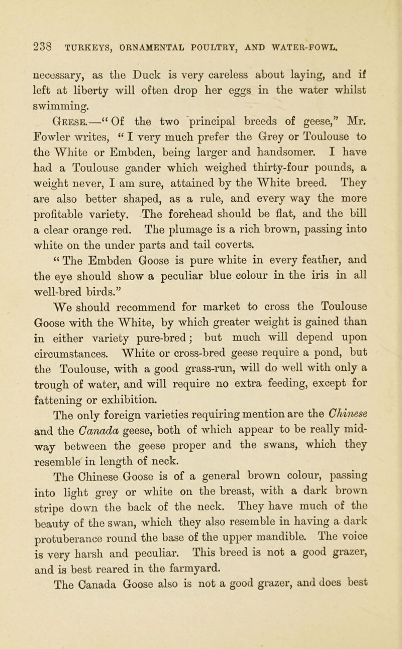 necessary, as the Duck is very careless about laying, and if left at liberty will often drop her eggs in the water whilst swimming. Geese.—“ Of the two principal breeds of geese,” Mr. Fowler writes, “ I very much prefer the Grey or Toulouse to the White or Embden, being larger and handsomer. I have had a Toulouse gander which weighed thirty-four pounds, a weight never, I am sure, attained by the White breed. They are also better shaped, as a rule, and every way the more profitable variety. The forehead should be flat, and the bill a clear orange red. The plumage is a rich brown, passing into white on the under parts and tail coverts. “ The Embden Goose is pure white in every feather, and the eye should show a peculiar blue colour in the iris in all well-bred birds.” We should recommend for market to cross the Toulouse Goose with the White, by which greater weight is gained than in either variety pure-bred; but much will depend upon circumstances. White or cross-bred geese require a pond, but the Toulouse, with a good grass-run, will do well with only a trough of water, and will require no extra feeding, except for fattening or exhibition. The only foreign varieties requiring mention are the Chinese and the Canada geese, both of which appear to be really mid- way between the geese proper and the swans, which they resemble in length of neck. The Chinese Goose is of a general brown colour, passing into light grey or white on the breast, with a dark brown stripe down the back of the neck. They have much of the beauty of the swan, which they also resemble in having a dark protuberance round the base of the upper mandible. The voice is very harsh and peculiar. This breed is not a good grazer, and is best reared in the farmyard. The Canada Goose also is not a good grazer, and does best