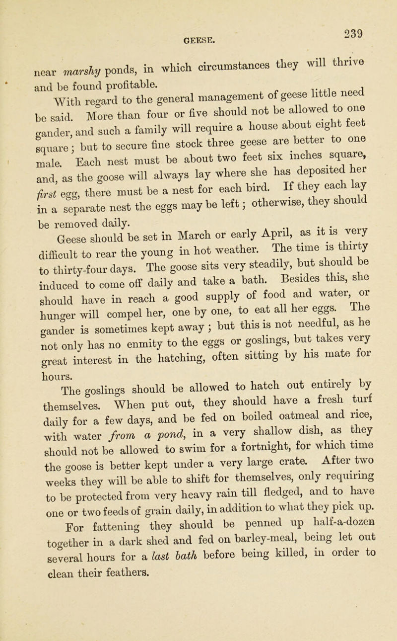 GEESE. near marshy ponds, in which circumstances they will thrive and be found profitable. .. * With regard to the general management of geese little need he said. More than four or five should not be allowed to one gander, and such a family will require a house about eight fc square; but to secure fine stock three geese are better to one male. Each nest must be about two feet six inches square, and, as the goose will always lay where she has deposited her first egg, there must be a nest for each bird. If they each lay in a separate nest the eggs may be left; otherwise, they shoul be removed daily. Geese should be set in March or early April, as it is very difficult to rear the young in hot weather. The time is *irJ to thirty-four days. The goose sits very steadily, but should be induced to come off daily and take a bath. Besides this, she should have in reach a good supply of food and water or hunger will compel her, one by one, to eat all her eggs. ie gander is sometimes kept away ; but this is not needful, as ie not only has no enmity to the eggs or goslings, but takes very great interest in the hatching, often sitting by his mate for hours. , , ,-11 The goslings should be allowed to hatch out entirely jy themselves. When put out, they should have a fresh turf daily for a few days, and be fed on boiled oatmeal and rice, with water from a pond, in a very shallow dish, as they should not be allowed to swim for a fortnight, for which time the woose is better kept under a very large crate. After two weeks they will be able to shift for themselves, only requiring to be protected from very heavy rain till fledged, and to have one or two feeds of grain daily, in addition to what they pick up. For fattening they should be penned up half-a-dozen together in a dark shed and fed on barley-meal, being let out several hours for a last bath before being killed, in order to clean their feathers.