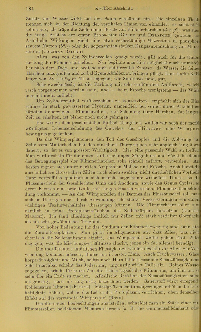 Zusatz von Wasser wirkt auf den Saum zerstörend ein. Die einzelnen Theilj trennen sich in der Richtung der vertikalen Linien von einander; es sieht nicli selten aus, als trüge die Zelle einen Besatz von Flimmerhärchen [d. e.f], was auc; die irrige Ansicht der ersten Beobachter (Gbuby und Delafond) gewesen is- Aehnliche Wirkungen giebt eine etwa sechsstündige Mazeration in phosphor saurem Natron (50/q) oder der sogenannten starken Essigsäuremischung von Molei SCHOTT (CoLOMAN BaLOGh). Alles, was von den Zylinderzellen gesagt wurde , gilt auch für die Unten Buchung der Flimmerepithelien. Nur beginne man hier möglichst rasch unmittel bar nach dem Tode, und bediene sich indifferenter Zusätze, da Wasser die feinei Härchen anzugreifen und zu baldigem Abfallen zu bringen pflegt. Eine starke Kali lauge von 28—400/q erhält sie dagegen, Avie Schultze fand, gut. Sehr zweckmässig ist die Färbung mit sehr verdünntem Anilinroth, welch' rasch vorgenommen Averden kann, und — beim Frosche Avenigstens — das Wimi perspiel nicht aufhebt. Um Zylinderepithel vorübergehend zu konserviren, empfiehlt sich der Eim Schluss in stark geAvässertem Glycerin, namentlich bei vorher durch Alkohol er härteten Ueberzügen. Flimmerzellen, mit Schonung ihrer Härchen, für länger Zeit zu erhalten, ist bisher noch nicht gelungen. hlhe Avir zu dem geschichteten Epithel übergehen, Avollen Avir noch der merk Avürdigsten Ijcbenserscheinung des GeAvebes, der Flimmer- oder Wimperr boAV e gu n g gedenken. Da das Wimperph.’lnomen den Tod des Geschöpfes und die Ablösilng de Zelle vom Mutterboden bei den einzelnen Thiergruppen sehr ungleich lang über dauert, so ist es von grösster Wichtigkeit, hier eine passende Wahl zu treffen Man Avird deshalb für die ersten Untersuchungen Säugethiere und Vögel, beidenet das BcAvegungsspiel der Flimmerhärchen sehr schnell aufhört, vermeiden. Ar besten eignen sich unter nackten Amphibierr Molche und Frösche. Auch bietet di ansehnlichere Grösse ihrer Zilien noch einen zAveiten, nicht unerheblichen Vortheil Ganz vortrefflich cjualifiziren sich manche sogenannte Avirbellose Thiere, so di Flussmuscheln der Geschlechter Unio und Anodonta, soAvie das Genus Cyclas, a> deren Kiemen eine [u-achtvolle, mit langen Haaren versehene Flimmerzellenbeklei düng verkommt. — An den Wimpcrzellen des Darmes der Flussmuschel soll mai sich im Uebrigen noch durch Anwendung sehr starker Vergrösserungen von einer' wichtigen Te.xturverhältniss überzeugen können. Die Flimmerhaare sollen sic. nämlich in feine Frotoplasmafädchen des Zellenkörpers fortsetzen (Ebeeth Maeohi] . Ich fand allerdings freilich nur Zellen mit stark vertiefter Oberfläch als ein sehr geAvöhnliches Trugbild. Von hoher Bedeutung für das Studium der FlimmerbeAvegung sind dann hie die Zusatzflüssigkeiten. Man giebt im Allgemeinen an, dass Alles, Avas nich chemisch die Zellensubstanz affizirt, das Wimperspiel Aveiter gehen lässt. Alle dagegen, Avas die Mischungsverhältnisse alterirt, jenes ein für allemal beendigt. Die indifferenten natürlichen Flüssigkeiten Averden deshalb vor Allem zur Ver Avendung kommen müssen; Blutserum in erster Linie. Auch FruchtAvasser, Glas- kürperflüssigkeit und Milch, selbst noch Harn bilden passende Zusatzflüssigkeiten Sehr brauchbar scheint das Jodserum; ungünstig Avirkt Galle ein. Reines Wasse^ zugegeben, erhöht für kurze Zeit die Lebhaftigkeit des Flimmerns, um ihm um s^ schneller ein Ende zu machen. Alkalische Reaktion der Zusatzflüssigkeiten mus als günstig, saure als ungünstig bezeichnet Averden. Sauerstofl'Avirkt erregend Kohlensäure lähmend (Kühke) . Mässige Temperatursteigerungen erhöhen die Leb i haftigkeit, höhere, welche das Leben des Protoplasma vernichten, üben denselbci Effekt auf das verwandte Wimperspiel (lloTjr). i Um die ersten Beobaclitungen anzustellen, schneidet man ein Stück einer mii Flimmerzellen bekleideten Membran heraiis (z. B. der Gaumenschleimhaut odei