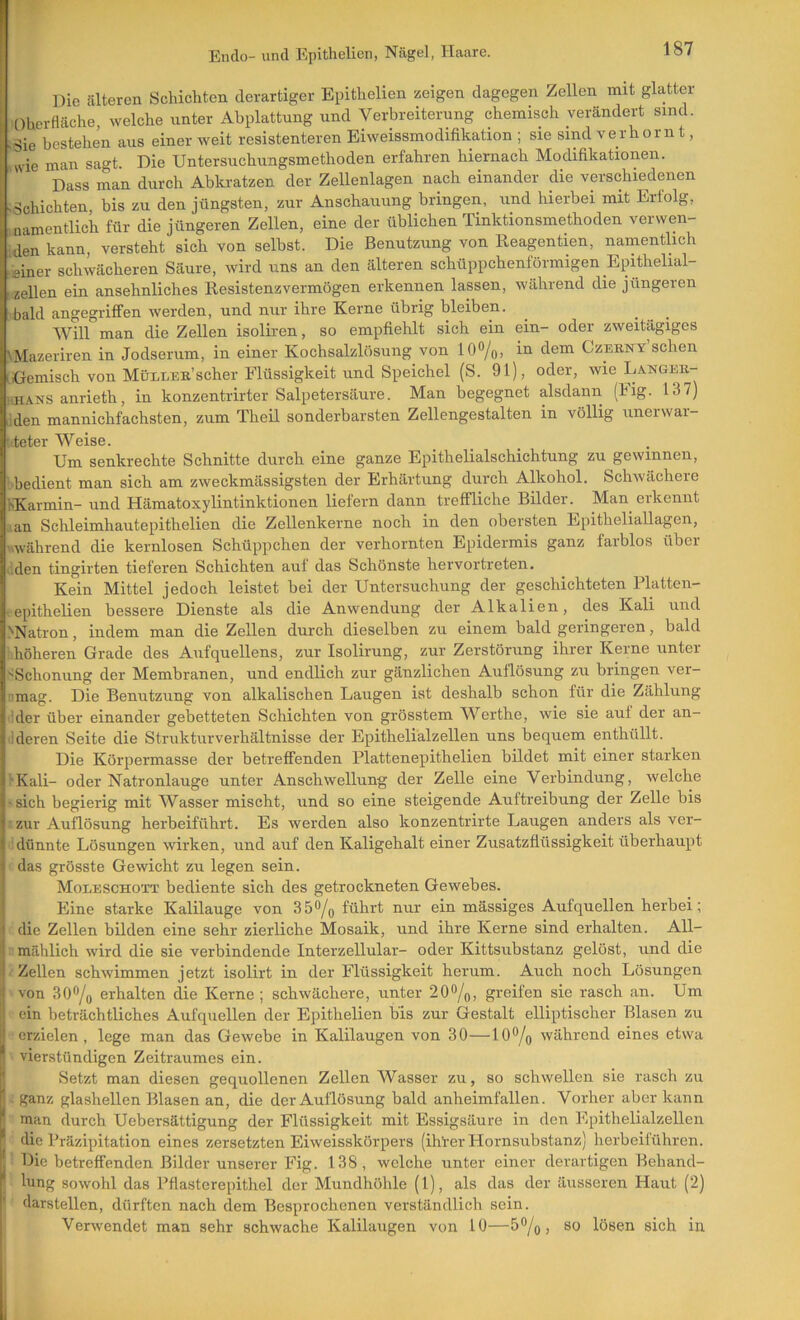 Die älteren Schichten derartiger Epithelien zeigen dagegen Zellen mit glatter Ohcrfläche, welche unter Abplattung und Verbreiterung chemisch verändert sind. -Sie bestehen aus einer weit resistenteren Eiweissmodifikation ; sie sind verhornt, svie man sagt. Die Untersuchungsmethoden erfahren hiernach Modifikationen. Dass man durch Abkratzen der Zellenlagen nach einander die verschiedenen 'Schichten, bis zu den jüngsten, zur Anschauung bringen, und hierbei mit Erfolg, .namentlich für die jüngeren Zellen, eine der üblichen Tinktionsmethoden verwen- iden kann, versteht sich von selbst. Die Benutzung von Eeagentien, namentlich ■einer schwächeren Säure, wird uns an den älteren schüppchenförmigen Epithelial- '.zellen ein ansehnliches Resistenzvermögen erkennen lassen, während die jüngeren bald angegriffen werden, und nur ihre Kerne übrig bleiben. Will man die Zellen isoliren, so empfiehlt sich ein ein- oder zweitägiges 'Mazeriren in Jodserum, in einer Kochsalzlösung von lO^, in dem Czekny sehen iGemisch von MüLLEn’scher Flüssigkeit und Speichel (S. 91), oder, wieLANGEK- 'iii.-iNS anrieth, in konzentrirter Salpetersäure. Man begegnet alsdann (Fig. 137) iden mannichfachsten, zum Theil sonderbarsten Zellengestalten in völlig unerwar- * teter Weise. Um senkrechte Schnitte durch eine ganze Epithelialschichtung zu gewinnen, bedient man sich am zweckmässigsten der Erhärtung durch Alkohol. Schwächere KKarmin- und Hämatoxylintinktionen liefern dann treffliche Bilder. Man erkennt an Schleimhautepithelien die Zellenkerne noch in den obersten Epitheliallagen, '^während die kernlosen Schüppchen der verhornten Epidermis ganz farblos über liden tingirten tieferen Schichten auf das Schönste hervortreten. Kein Mittel jedoch leistet bei der Untersuchung der geschichteten Platten- epithelien bessere Dienste als die Anwendung der Alkalien, des Kali und ^Natron, indem man die Zellen durch dieselben zu einem bald geringeren, bald höheren Grade des Aufquellens, zur Isolirung, zur Zerstörung ihrer Kerne unter 'Schonung der Membranen, und endlich zur gänzlichen Auflösung zu bringen ver- ■imag. Die Benutzung von alkalischen Laugen ist deshalb schon für die Zählung 'der über einander gebetteten Schichten von grösstem W^erthe, wie sie auf der an- lideren Seite die Strukturverhältnisse der Epithelialzellen uns bequem enthüllt. Die Körpermasse der betreffenden Plattenepithelien bildet mit einer starken •Kali- oder Natronlauge unter Anschwellung der Zelle eine Verbindung, welche ■sich begierig mit Wasser mischt, und so eine steigende Auftreibung der Zelle bis zur Auflösung herbeiführt. Es werden also konzentrirte Laugen anders als ver- dünnte Lösungen wirken, und auf den Kaligehalt einer Zusatzfiüssigkeit überhaupt das grösste Gewicht zu legen sein. Moleschott bediente sich des getrockneten Gewebes. Eine starke Kalilauge von 35®/q führt nur ein mässiges Aufquellen herbei; die Zellen bilden eine sehr zierliche Mosaik, und ihre Kerne sind erhalten. All- mählich wird die sie verbindende Interzellular- oder Kittsubstanz gelöst, und die Zellen schwimmen jetzt isolirt in der Flüssigkeit herum. Auch noch Lösungen von 30®/o erhalten die Kerne ; schwächere, unter 20®/o, greifen sie rasch an. Um ein beträchtliches Aufquellen der Epithelien bis zur Gestalt elliptischer Blasen zu erzielen, lege man das Gewebe in Kalilaugen von 30—10% während eines etwa vierstündigen Zeitraumes ein. * Setzt man diesen gequollenen Zellen Wasser zu, so schwellen sie rasch zu . ganz glashellen Blasen an, die der Auflösung bald anheimfallen. Vorher aber kann man durch Uebersättigung der Flüssigkeit mit Essigsäure in den Epithelialzellen * die Präzipitation eines zersetzten Eiweisskörpers (ihVer Hornsubstanz) herbeiführen. Die betreffenden Bilder unserer Fig. 138, welche unter einer derartigen Behand- lung sowohl das Pflasterepithel der Mundhöhle (1), als das der äusseren Haut (2) ' darstellen, dürften nach dem Besprochenen verständlich sein. Verwendet man sehr schwache Kalilaugen von 10—5%, so lösen sich in 1