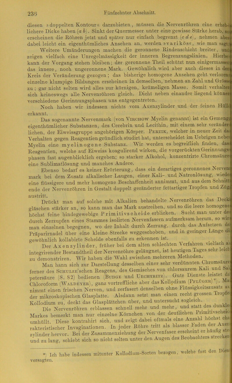 23Ö diesen » doppelten Kontour« darzubieten, müssen die Nervenröhren eine erheb-»; lichere Dicke haben (a b). Sinkt der Quermesser unter eine gewisse Stärke herab. sc>,i erscheinen die Röhren jetzt und später nur einfach begrenzt [cclej, nehmen abei . dabei leicht ein eigenthümliches Ansehen an, werden »varikös«, wie man sagt;* Weitere Umänderungen machen die geronnene Rindenschicht breiter, undi- zeigen vielfach eine Unregelmässigkeit der inneren Begrenzungslinien. Hierbe:; kann der Vorgang stehen bleiben; der geronnene Theil schützt nun einigermasserJ» das innere, noch ungeronnene Mark. Gewöhnlich wird aber auch dieses in der Kreis der Veränderung gezogen; das bisherige homogene Ansehen geht verloren.a einzelne klumpige Bildungen erscheinen in demselben, nehmen an Zahl und Grössi-j. zu ; gar nicht selten wird alles zur körnigen, krümeligen Masse. Somit verhalteij sich keineswegs alle Nervenröhren gleich. Dicht neben einander liegend können verschiedene Gerinnungsphasen uns entgegentreten. ! Noch haben wir indessen nichts vom Axenzylinder und der feinen HüR) erkannt. _ ; Das sogenannte Nervenmark (von VirchOav Myelin genannt) ist ein Gemeng-.: eigenthümlicher Substanzen, des Cerebrin und Lecithin, mit einem sehr veränder j liehen, der Eiweissgruppe angehörigen Körper. Pekxik, welcher in neuer Zeit da,; Verhalten gegen Reagentien gründlich studirt hat, unterscheidet im Uebrigen nebe? r Myelin eine myelinogene Substanz. Wir werden es begreiflich finden, dasl. Reagentien, welche auf Eiweiss koagulirend wirken, die vorgerückten Gerinnungsn phasen fast augenblicklich ergeben; so starker Alkohol, konzentrirte Chromsäure j' eine Sublimatlösung und manches Andere. ^ ! Ebenso bedarf es keiner Erörterung, dass ein derartiges geronnenes Nervenij. mai'k bei dem Zusatz alkalischer Laugen, einer Kali- und Natronlösung, wiede;|i eine flüssigere und mehr homogene Beschaffenheit annimmt, und aus dem Schnitt) ende der Nervenröhren in Gestalt doppelt geränderter fettartiger Tropfen und Züg| austritt. » -r» i l Drückt man auf solche mit Alkalien behandelte Nervenröhren das Deck| gläschen stärker an, so kann man das Mark austreiben, und so die leere homogene si höchst feine bindegewebige Primitivscheide erblicken. Sucht man unter de i durch Zerzupfen eines Stammes isolirten Nervenfasern aufmerksam herum, so win man einzelnen begegnen, wo der Inhalt durch Zerrung, durch das Aufsetzen de Präparirnadel über eine kleine Strecke weggeschoben, und in geringer Länge di. gewöhnlich kollabirtc Scheide ebenfalls zu erkennen ist. • »p i Der Axenzylinder, früher bei dem alten schlechten Verfahren vielfach a. integrirender Bestandtheil der Nervenröhre geläugnet, ist heutigen Tages sehr leid zu demonstriren. Wir haben die Wahl zwischen mehreren Methoden. Man hann sich zur Darstellung desselben einer sehr verdünnten Chromsaurf j ferner des Schulze’sehen Reagens, des Gemisches von chlorsaurem Kali und Sa., petersäure (S. 82) bedienen (Budge und Uechxbitz). Gute Dienste leistet dt|| Chloroform (Walheyeb), ganz vortreffliche aber dasKollpdium (Pelugeb) j. Ma. nimmt einen frischen Nerven, und zerfasert denselben ohne Flüssigkeitszusatz ai der mikroskopischen Glasplatte. Alsdann setzt man einen recht grossen irople. Kollodium zu, deckt das Glasplättchen über, und untersucht sogleich. Die Nervenröhren erblassen schnell mehr und mehr, und statt des dunkle* Markes bemerkt man nur einzelne Körnchen von der deutlichen Primitivsc leu umhüllt. Diese kontrahirt sich, und zeigt dabei oftmals eine Anzahl höchst ch rakteristischer Invaginationen. In jeder Röhre tritt als blasser Zylinder hervor. Bei der Zusammenziehung der Nervenfaser erschein ei l^^ufi- , und zu lang, schiebt sich so nicht selten unter den Augen des Beobachteis stieckei Ich habe indessen mitunter Kollodium-Sorten bezogen, welche fast den Dien ( versagten.