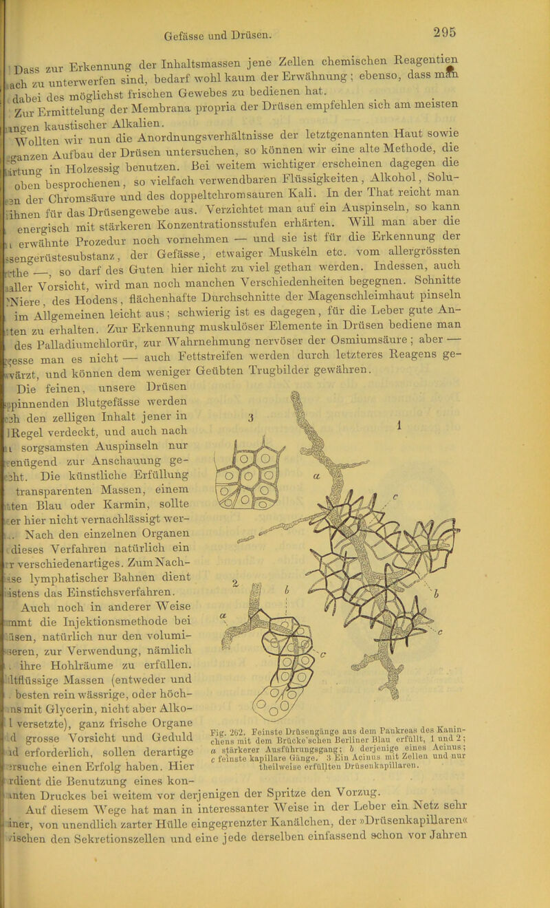 i ^ Dass zur Erkennung der Intialtsmassen jene Zellen chemischen Reagenti^ Lach zu unterwerfen sind, bedarf wohl kaum der Erwähnung ; ebenso, dass müh dabei des möglichst frischen Gewebes zu bedienen hat. Zur Ermittelung der Membrana propria der Drüsen empfehlen sich am meisten unsen kaustischer Alkalien. _ , , , ^ x u ^ Mmllten wir nun die Anordnungsverhältnisse der letztgenannten Haut sowie .ganzen Aufbau der Drüsen untersuchen, so können wir eine alte Methode, die Stuno- in Holzessig benutzen. Bei weitem wichtiger erscheinen dagegen die oben besprochenen, so vielfach verwendbaren Flüssigkeiten, Alkohol, Solu- tsn der Chromsäure und des doppeltchromsauren Kali. In der That reicht man iihnen für das Drüsengewebe aus. Verzichtet man auf ein Auspinseln, so kann energisch mit stärkeren Konzentrationsstufen erhärten. Will man aber die ai erwähnte Prozedur noch vornehmen — und sie ist für die Erkennung der ssengerüstesubstanz, der Gefässe, etwaiger Muskeln etc. vom allergrössten , so darf des Guten hier nicht zu viel gethan werden. Indessen, auch aaller Vorsicht, wird man noch manchen Verschiedenheiten begegnen. Schnitte 'Niere, des Hodens, flächenhafte Durchschnitte der Magenschleimhaut pinseln im Allgemeinen leicht aus; schwierig ist es dagegen, für die Leber gute An- :ten zu erhalten. Zur Erkennung muskulöser Elemente in Drüsen bediene man des Palladiumchlorür, zur Wahrnehmung nervöser der Osmiumsäure ; aber — gesse man es nicht — auch Fettstreifen werden durch letzteres Reagens ge- ftvärzt, und können dem weniger Geübten Trugbilder gewähren. Die feinen, unsere Drüsen ippinnenden Blutgefässe werden cch den zelligen Inhalt jener in IRegel verdeckt, und auch nach 11 sorgsamsten Auspinseln nur cenügend zur Anschauung ge- tcht. Die künstliche Erfüllung transparenten Massen, einem Ilten Blau oder Karmin, sollte iter hier nicht vernachlässigt wer- .. Nach den einzelnen Organen '.dieses Verfahren natürlich ein rr verschiedenartiges. ZumNach- Ase lymphatischer Bahnen dient i-istens das Einstichsverfahren. Auch noch in anderer Weise immt die Injektionsmethode bei '.äsen, natürlich nur den volumi- seren, zur Verwendung, nämlich . ihre Hohlräume zu erfüllen. .'.Itflüssige Massen {entweder und . besten rein wässrige, oder höch- .ns mit Glycerin, nicht aber Alko- l versetzte), ganz frische Organe d grosse Vorsicht und Geduld id erforderlich, sollen derartige irsuche einen Erfolg haben. Hier rdient die Benutzung eines kon- inten Druckes bei weitem vor derjenigen der Spritze den Vorzug. Auf diesem Wege hat man in interessanter Weise in der Leber ein Netz sehr liner, von unendlich zarter Hülle eingegrenzter Kanälchen, der »Drüsenkapillaren« zischen den Sekretionszellen und eine jede derselben einfassend schon vor Jahren Fig. 262. Feinste Drüsengänge aus dem Paukreas des Kaiiin- cliens mit dem Brücke'schen Berliner Blau erfüllt, i 2 ; a stärkerer Ausfülinmgsgang; h derjenige eines Acinus; c feinste kapillare Gänge. 3 Ein Acinus mit Zellen und nur theilweiso erfüllten Drüsenkapillaron.
