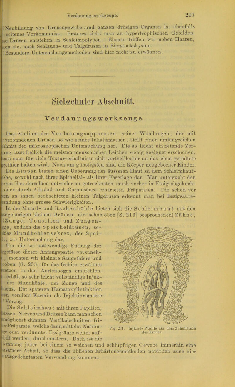 :Neubildung von Drüsengewebe -und ganzen drüsigen Organen ist ebenfalls : seltenes Vorkommniss. Ersteres siebt man an hypertrophischen Gebilden, we Drüsen entstehen in Schleimpolypen. Ebenso treffen wir neben Haaren, iten etc. auch Schlauch- und Talgdrüsen in Eierstockskysten. IBesondere Untersuchungsmethoden sind hier nicht zu erwähnen. Siebzelmter Abschnitt. Verdauungswerkzeuge. Das Studium des Verdauungsapparates, seiner Wandungen, der mit verbundenen Drüsen so wie seiner Inhaltsmassen, stellt einen umfangreichen ^khnitt der mikroskopischen Untersuchung her. Die so leicht eintretende Zer- nng lässt freilich die meisten menschlichen Leichen wenig geeignet erscheinen, aass man für viele Texturverhältnisse sich vortheilhafter an das eben getödtete f'ethier halten wird. Noch am günstigsten sind die Körper neugeborner Kinder. Die Lippen bieten einen Uebergang der äusseren Haut zu dem Schleimhaut- “febe, sowohl nach ihrer Epithelial- als ihrer Faserlage dar. Man untersucht den !Eren Bau derselben entweder an getrockneten (auch vorher in Essig abgekoch- coder durch Alkohol und Chromsäure erhärteten Präparaten. Die schon vor een an ihnen beobachteten kleinen Talgdrüsen erkennt man bei Essigsäure- ndung ohne grosse Schwierigkeiten. In der Mund-und Rachenhöhle bieten sich die Schleimhaut mit den ungehörigen kleinen Drüsen, die (schon oben [S. 213] besprochenen) Zähne, iZunge, Tonsillen und Zungen- !>e, endlich die Speicheldrüsen, so- ddas Mundhöhlens ekret, der Spei- 11, zur Untersuchung dar. Um die so nothwendige Füllung der i.'gefässe dieser Anfangspartie vorzuneh- , möchten wir kleinere Säugethiere und oben (S. 253) für das Gehirn erwähnte ietzen in den Aortenbogen empfehlen, erhält so sehr leicht vollständige Inj ek- der Mundhöhle, der Zunge und des aens. Der späteren Hämatoxylintinktion i-en verdient Karmin als Injektionsmasse W'orzug. Die Schleimhaut mit ihren Papillen, ässen, Nerven und Drüsen kann man schon möglichst dünnen Vertikalschnitten fri- er Präparate, welche dannmittelst Natron- e oder verdünnter Essigsäure weiter auf- 3llt werden, durchmustern. Doch ist die »Innung jener bei einem so weichen und schlüpfrigen Gewebe immerhin eine usamere Arbeit, so dass die üblichen Erhärtungsmethoden natürlich auch hier ausgedehntesten Verwendung kommen. Fig. 264. Injizirto Papille aus dem ZahnfleisoU des Eiudos.