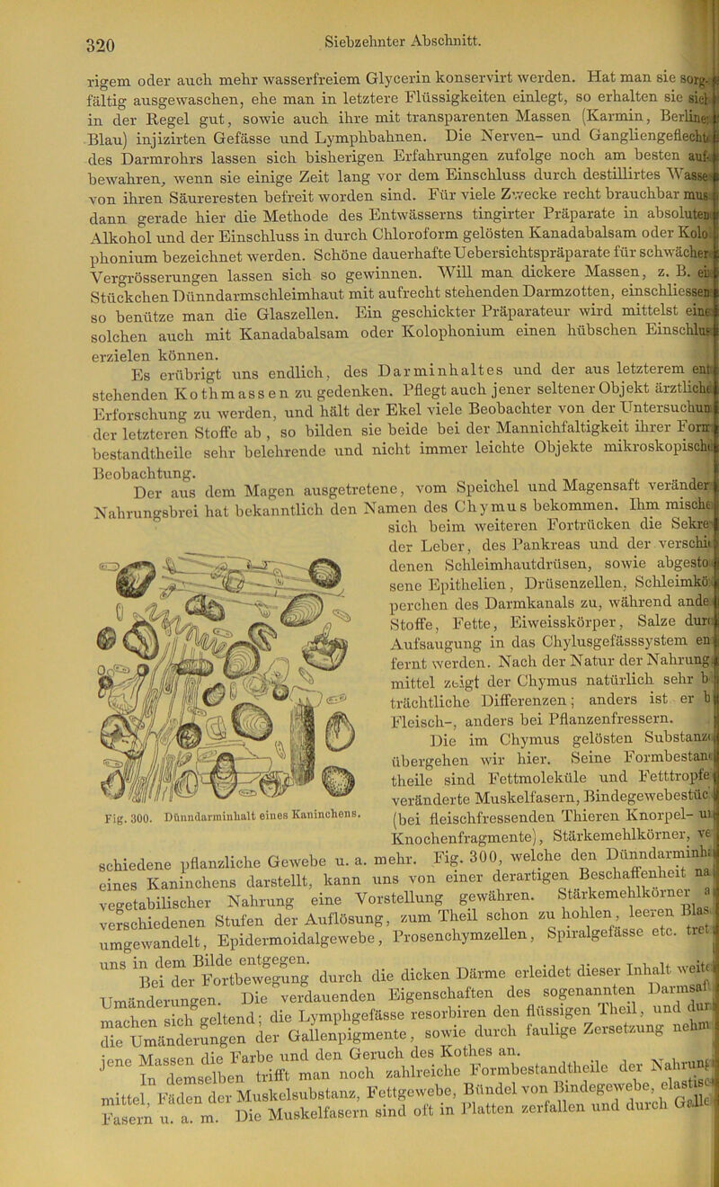rigem oder auch mehr wasserfreiem Glycerin konservirt werden. Hat man sie sorg-ij faltig ausgewaschen, ehe man in letztere Flüssigkeiten einlegt, so erhalten sie sici« in der Regel gut, sowie auch ihre mit transparenten Massen (Karmin, Berlineiij Blau) injizirten Gefässe und Lymphbahnen. Die Nerven- und GangliengeflechtJ des Darmrohrs lassen sich bisherigen Erfahrungen zufolge noch am besten aufJ bewahren, wenn sie einige Zeit lang vor dem Einschluss durch destillirtes Wasse-f von ihren Säureresten befreit worden sind. Für viele Zwecke recht brauchbar musi dann gerade hier die Methode des Entwässerns tingirter Präparate in absoluteD Alkohol und der Einschluss in durch Chloroform gelösten Kanadabalsam oder Kolo; phonium bezeichnet werden. Schöne dauerhafte Uebersichtspräparate für schwächer Vergrösserungen lassen sich so gewinnen. Will man dickere Massen, z. B. ei Stüdcchen Dünndarmschleimhaut mit aufrecht stehenden Darmzotten, einschliessen so benütze man die Glaszellen. Ein geschickter Präparateur wird mittelst eine: solchen auch mit Kanadabalsam oder Kolophonium einen hübschen Einschluf erzielen können. Es GTübrigt uns endliclij des Dai'niinlialtGS und dGr aus iGtztcrGm cur stehenden Kothmassenzu gedenken. Pflegt auch jener seltener Objekt ärztlick Erforschung zu werden, und hält der Ekel viele Beobachter von der Untersuchun der letzteren Steife ab , so bilden sie beide bei der Mannichfaltigkeit ihrer Fora bestandtheile sehr belehrende und nicht immer leichte Objekte mikroskopisch(. Beobachtung. . Der aus dem Magen ausgetretene, vom Speichel und Magensaft verander Nahrungsbrei hat bekanntlich den Namen des Chymu s bekommen. Ihm mischt sich beim weiteren Fortrücken die Sekre' der Leber, des Pankreas und der verschk denen Schleimhautdrüsen, sowie abgestoK sene Epithelien, Drüsenzellen, Schleimkö:» perchen des Darmkanals zu, während ande Stoffe, Fette, Eiweisskörper, Salze durc Aufsaugung in das Chylusgefässsystem en fernt werden. Nach der Natur der Nahrung, mittel zeigt der Chymus natürlich sehr b: trächtliche Differenzen; anders ist er h Fleisch-, anders bei Pflanzenfressern. Die im Chymus gelösten Substanzii übergehen wir hier. Seine h ormbestanc theile sind Fettmoleküle und Fetttropfe veränderte Muskelfasern, Bindegewebestüc.' (bei fleischfressenden Thieren Knorpel- ui( Knochenfragmente), Stärkemehlkörner, ve schiedene pflanzliche Gewebe u. a. mehr. Fig. 300, welche den Dünndarmink, eines Kaninchens darstellt, kann uns von einer derartigen Beschaffenheit na vegetabilischer Nahrung eine Vorstellung gewähren. ' veLhiedenen Stufen der Auflösung, zum Theil schon ^u hohlen , umgewandelt, Epidermoidalgewebe, Prosenchymzellen, Spiralgefässe etc. tre.. 'Lf Si^Fo^tb^^^^ durch die dicken Därme erleidet dieser Inhalt we^ | Umänderungen. Die verdauenden Eigenschaften des sopnannten Farmsaf.| maehen sich geltend; die Lymphgefässe resorbiren den flüssigen iheil, und durl rumantv»^“ ier GalUpilme.te, sowie duveh faulige Zevsetaung ueUnM mittel Fäden dci-MuskelsubBtana, Fettgewebe, Bündel von Bmdegewebe, elasli ^ n a m Die Muskelfasevn sind oft in Idatten verfallen und durch GcJled im Fig. 300. Dünndarmiiilialt eines Kaninchens.