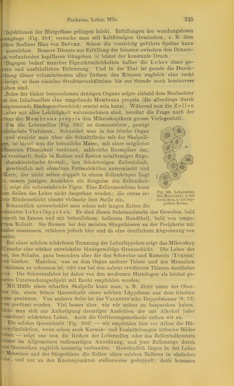 Pankreas, Leber, Milz. 325 : Injektionen der Blutgefässe gelingen leicht. Erfüllungen der wandungslosen I kiengänge (Fig. 304) versuche man mit kaltflüssigen Gemischen, z. B. dem 1. ;hen Berliner Blau von Brücke. Schon die vorsichtig geführte Spritze kann ausreichen. Bessere Dienste zur Erfüllung der feinsten zwischen den Drüsen- ! n verlaufenden kapillaren Gängchen (c) leistet der konstante Druck. 'Dagegen bedarf mancher Eigenthümlichkeiten halber die Leber einer ge- I rren und ausführlichen Erörterung. Und in der That ist gerade die Durch- i' hung dieser voluminösesten aller Drüsen des Körpers zugleich eine recht i ierige, so dass einzelne Strukturverhältnisse bis zur Stunde noch kontrovers (ic.ehen sind. i . Jedes der bisher besprochenen drüsigen Organe zeigte alsbald dem Beobachter m den Inhaltszellen eine umgebende Membrana propria (die allerdings durch loegrenzende Bindegewebeschicht ersetzt sein kann). Während nun die Zellen ILeber mit aller Leichtigkeit wahrzunehmen sind, bereitet die Frage nach der ttenz der Membrana propria den Mikroskopikern grosse Verlegenheit. Um die Leberzellen (Fig. 305) zu demonstriren, genügt eainfachste Verfahren. Schneidet man in das frische Organ tund streicht man über die Schnittfläche mit der Skalpell- jije, so bietet uns die bräunliche Masse, mit einer möglichst tiTerenten Flüssigkeit verdünnt, zahlreiche Exemplare dar, >s vereinzelt, theils in Reihen und Resten netzförmiger Züge. I charakteristische Gestalt, den feinkörnigen Zelleninhalt, gewöhnlich mit einzelnen Fettmolekülen untermischt und IKern, der nicht selten doppelt in einem Zellenkörper liegt hb unsern jetzigen Ansichten ein Zeugniss der Zellenthei- ), zeigt die nebenstehende Figur. Eine Zellenmembran kann den Zellen der Leber nicht dargethan werden; die etwas er- eete Rindenschicht nimmt vielmehr ihre Stelle ein. Bekanntlich unterscheidet man schon seit langen Zeiten die mannten Leber läppchen. Es sind dieses Substanzinseln des Gewebes, bald innroth im Innern und mit bräunlichem, hellerem Randtheil, bald von umge- Trtem Kolorit. Sie fliessen bei den meisten Säugethieren an der Peripherie mit ander zusammen, erfahren jedoch hier und da eine deutlichere Abgrenzung von nnder. Bei einer solchen schärferen Trennung der Leberläppchen zeigt das Mikroskop !Ursache eine stärker entwickelte bindegewebige Grenzschicht. Die Leber der «e, des Schafes, ganz besonders aber die des Schweins und Kameels (Turner) en hierher. Manches, was an dem Organ anderer Thiere und des Menschen mühsam zu erkennen ist, tritt uns bei den zuletzt erwähnten Thieren deutlicher 'Or. Die Schweinsleber ist daher von den modernen Histologen als höchst ge- •letes Untersuchungsobjekt mit Recht empfohlen worden. Mit Hülfe eines scharfen Skalpells kann man, z. B. dicht unter der Ober- ne hin, einen feinen Querschnitt eines solchen Läppchens aus dem frischen ane gewinnen. Von anderer Seite ist das Valentin’sehe Doppelmesser (S. 73) ■zu gerühmt worden. Viel besser aber, wie wir später zu besprechen haben, lent man sich zur Anfertigung derartiger Ansichten der mit Alkohol (oder ■omsäure) erhärteten Leber. Auch die Gefrierungsmethode rathen wir an. Ein solcher Querschnitt (Fig. 306) — wir empfehlen hier vor Allem die Hä- 'oxylintinktion, wenn schon auch Karmin- \ind Eosinfärbungen hübsche Bilder Isben — zeigt uns nun die Reihen der Leberzellen oder das Zellenbalkennetz 'einer im Allgemeinen radienartigen Anordnung, und jene Zellenzüge durch ze Querreihen zugleich netzartig verbunden. Gewöhnlich liegen in der Leber Menschen und der Säugethiere die Zellen eines solchen Balkens in einfacher ‘he, und nur an den Knotenpunkten stellenweise gedoppelt; doch kommen Fig. 305. LeOerzellen des Mensclien; a mH einfachem, b mit dop- peltem Kerne.