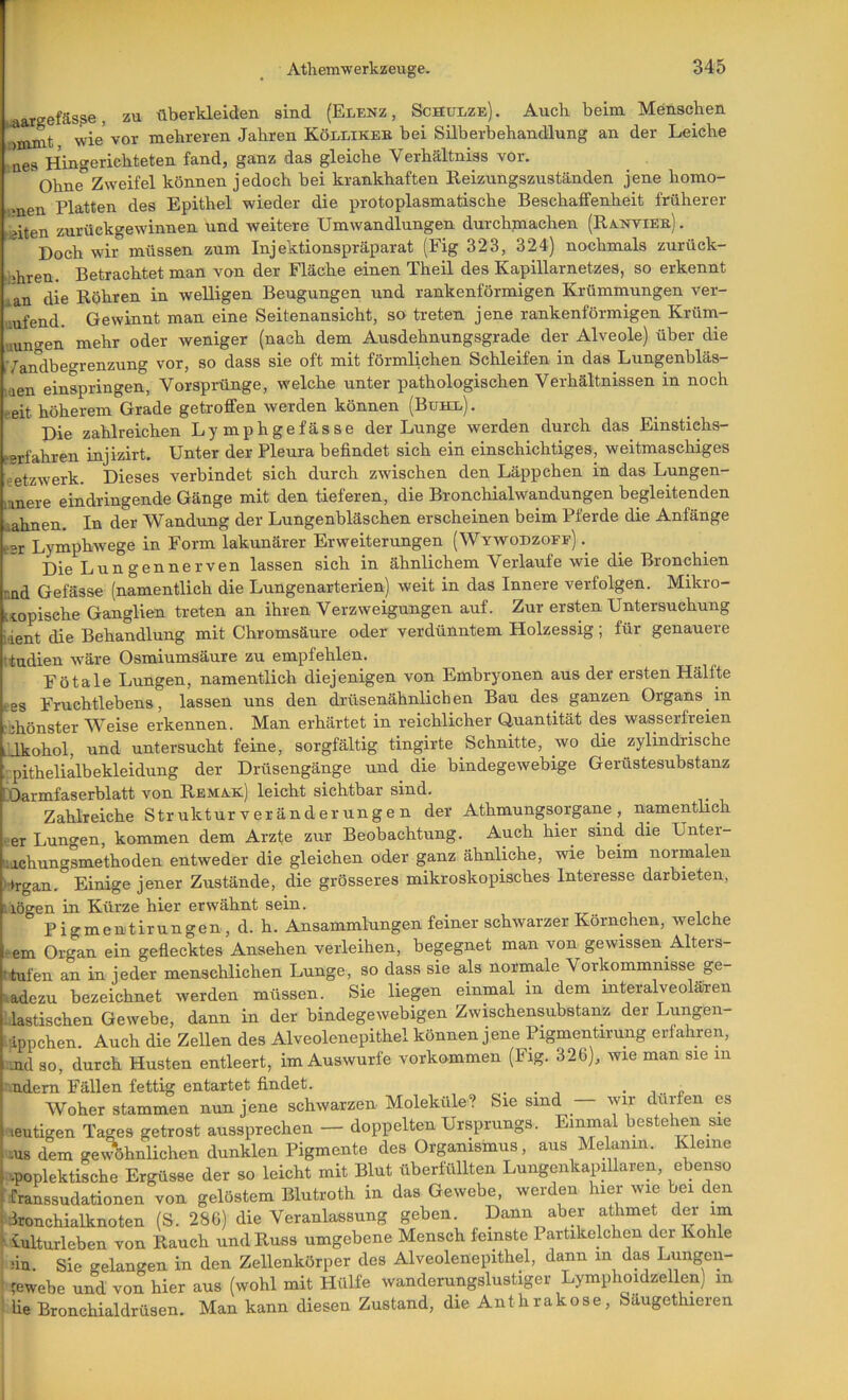 taargeläspe, zu überkleiden sind (Elenz, Schulze). Auch beim Menschen )Hunt wie vor mehreren Jahren Köllikeb bei Süberbehandlung an der Leiche aes Hingerichteten fand, ganz das gleiche Verhältniss vor. Ohne Zweifel können jedoch bei krankhaften Reizungszuständen jene homo- gnen Platten des Epithel wieder die protoplasmatische Beschaifenheit früherer iaiten zurückgewinnen und weitere Umwandlungen durchpiachen (Ra.nviek) . Doch wii°müssen zum Injektionspräparat (Fig 323, 324) nochmals zurück- hhren. Betrachtet man von der Fläche einen Theil des Kapillarnetzes, so erkennt .an die Röhren in welligen Beugungen und rankenförmigen Krümmungen Ver- ruf end. Gewinnt man eine Seitenansicht, so treten jene rankenförmigen Krüm- uun^en mehr oder weniger (nach dem Ausdehnungsgrade der Alveole) über die iVandbegrenzung vor, so dass sie oft mit förmlichen Schleifen in das Lungenbläs- men einspringen, Vorsprünge, welche unter pathologischen Verhältnissen in noch eeit höherem Grade getroffen werden können (Buhl) . Die zahlreichen Lymphgefässe der Lunge werden durch das Einstichs- eerfahren injizirt. Unter der Pleura befindet sich ein einschichtiges, weitmaschiges : etzAverk. Dieses verbindet sich durch zwischen den Läppchen in das Lungen- mnere eindringende Gänge mit den tieferen, die Bronchialwandungen begleitenden . ahnen. In der Wandung der Lungenbläschen erscheinen beim Pferde die Anfänge eer LymphAvege in Form lakunärer Erweiterungen (Wyavodzofe) Die Lungennerven lassen sich in ähnlichem Verlaufe wie die Bronchien ud Gefässe (namentlich die Lungenarterien) weit in das Innere verfolgen. Mikro- . topische Ganglien treten an ihren Verzweigungen auf. Zur ersten Untersuchung ient die Behandlung mit Chromsäure oder verdünntem Holzessig; für genauere itudien Aväre Osmiumsäure zu empfehlen. Fötale Lungen, namentlich diejenigen von Embryonen aus der ersten Hälfte Fruchtlebens, lassen uns den drüsenähnlichen Bau des ganzen Organs in es jhönster Weise erkennen. Man erhärtet in reichlicher Quantität des wasserfreien -Ikohol, und untersucht feine, sorgfältig tingirte Schnitte, wo die zylindrische pithelialbekleidung der Drüsengänge und die bindegeAvebige Gerüstesubstanz Darmfaserblatt von Rema.k) leicht sichtbar sind. Zahlreiche Strukturveränderungen der Athmungsorgane, namenthch er Lungen, kommen dem Arzte zur Beobachtung. Auch hier sind die Unter- ;achungsmethoden entweder die gleichen oder ganz ähnliche, wie beim normalen !»rgan. Einige jener Zustände, die grösseres mikroskopisches Interesse darbieten, lögen in Kürze hier erivähnt sein. Pigment irungen, d. h. Ansammlungen feiner schAvarzer Körnchen, Avelche ^em Organ ein gedecktes Ansehen verleihen, bepgnet man von geAvissen Alters- iufen an in jeder menschlichen Lunge, so dass sie als normale Vorkommnisse ge- radezu bezeichnet werden müssen. Sie liegen einmal in dem interalveolären dastischen Gewebe, dann in der bindegewebigen Zwischensubstanz der Lungen- ■ippchen. Auch die Zellen des Alveolenepithel können jene Pigmentirung erfahren, -nd so, durch Husten entleert, im Auswurfe Vorkommen (Fig. 326), Avie man sie in ndem Fällen fettig entartet findet. _ ■ n Woher stammen nun jene schwarzen Moleküle? Sie sind Avir dürfen es heutigen Tages getrost aussprechen — doppelten Ursprungs. Einmal bestehen sie ■•US dem geA?öhnlichen dunklen Pigmente des Organismus, aus Melanin. Kieme '.poplektische Ergüsse der so leicht mit Blut überfüllten Lungenkapillaren, ebenso franssudationen von gelöstem Blutroth in das Gewebe, werden hier wie bei den •ironchialknoten (S. 286) die Veranlassung geben. Dann aber athmet der im Kulturleben von Rauch undRuss umgebene Mensch feinste Partikelchen der Kohle iin. Sie gelangen in den Zellenkörper des Alveolenepithel, dann in das Lungen- tewebe und von hier aus (wohl mit Hülfe wanderungslustiger Lymphomzellen) in lie Bronchialdrüsen. Man kann diesen Zustand, die Anthrakose, Saugethieren