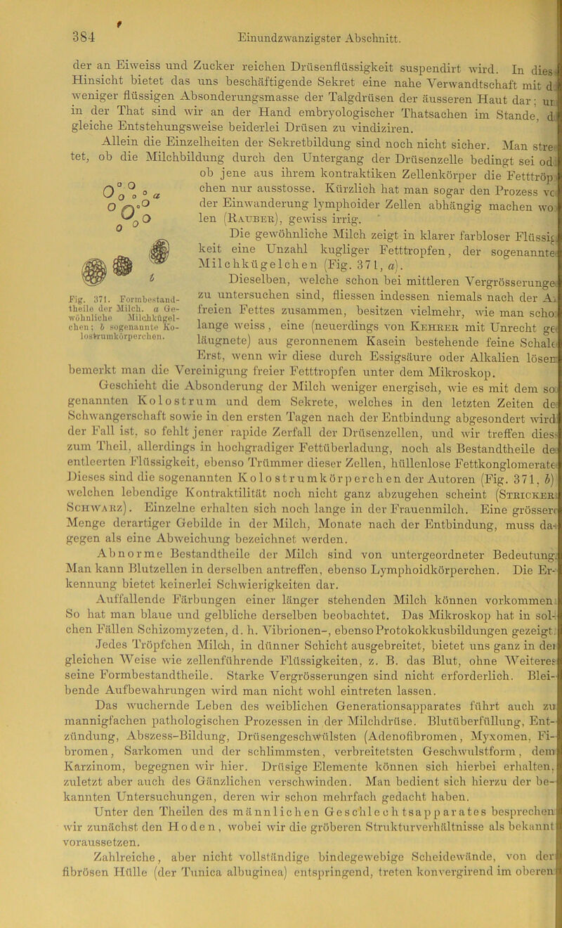 f 384 Einundzwanzigster Abschnitt. der an Eiweiss und Zucker reichen Drüsenflüssigkeit suspendirt wird. In dies« Hinsicht bietet das uns beschäftigende Sekret eine nahe Verwandtschaft mit d weniger flüssigen Absonderungsmasse der Talgdrüsen der äusseren Haut dar; ur. in der That sind wir an der Hand embryologischer Thatsachen im Stande, d, gleiche Entstehungsweise beiderlei Drüsen zu vindiziren. Allein die Einzelheiten der Sekretbildung sind noch nicht sicher. Man stre> tet, ob die Milchbildung durch den Untergang der Drüsenzelle bedingt sei od; ob jene aus ihrem kontraktiken Zellenkörper die Fetttröp chen nur ausstosse. Kürzlich hat man sogar den Prozess vc> der Einwanderung lymphoider Zellen abhängig machen wo len (Raubek), gewiss irrig. Die gewöhnliche Milch zeigt in klarer farbloser Flüssig keit eine Unzahl kugliger Fetttropfen, der sogenannte« Milchkügelchen (Fig. 371, a). Dieselben, welche schon bei mittleren Vergrösserunge« zu untersuchen sind, fliessen indessen niemals nach der A> freien Fettes zusammen, besitzen vielmehr, wie man scho: lange weiss, eine (neuerdings von Kehbeb. mit Unrecht ge läugnete) aus geronnenem Kasein bestehende feine Schaki Erst, wenn wir diese durch Essigsäure oder Alkalien lösen: bemerkt man die Vereinigung freier Fetttropfen unter dem Mikroskop. Geschieht die Absonderung der Milch weniger energisch, wie es mit dem so genannten Kolostrum und dem Sekrete, welches in den letzten Zeiten de Scliwangerscliaft sowie in den ersten Tagen nach der Entbindung abgesondert wird der Fall ist. so fehlt jener rapide Zerfall der Drüsenzellen, und wir treffen dies^ zum Theil, allerdings in hochgradiger Fettüberladung, noch als Bestandtheile de; entleerten Flüssigkeit, ebenso Trümmer dieser Zellen, hüllenlose Fettkonglomerate; Dieses sind die sogenannten Kolo str umkör ])erchen der Autoren (Fig. 371. J) welchen lebendige Kontraktilität noch nicht ganz abzugehen scheint (Stbickee.. ScHWABz). Einzelne erlialten sich noch lange in der Frauenmilch. Eine grösser; Menge derartiger Gebilde in der Milch, Monate nach der Entbindung, muss da- gegen als eine Abweichung bezeichnet werden. Abnorme Bestandtheile der Milch sind von untergeordneter Bedeutung: Man kann Blutzellen in derselben antreffen, ebenso Lymphoidkörperchen. Die Er- kennung bietet keinerlei Schwierigkeiten dar. Auffallende Färbungen einer länger stehenden Milch können verkommen So hat man blaue und gelbliche derselben beobachtet. Das Mikroskop hat in sol- chen Fällen Schizomyzeten, d. h. Vibrionen-, ebenso Protokokkusbildungen gezeigt. Jedes Tröpfchen Milcli, in dünner Schicht ausgebreitet, bietet uns ganz in dei gleichen AVeise wie zellenführende Flüssigkeiten, z. B. das Blut, ohne AA’’eiteres seine Formbestandtheile. Starke Vergrösserungen sind nicht erforderlich. Blei- bende Airfbewahrungen wird man nicht wohl eintreten lassen. Das wuchernde Leben des weiblichen Generationsapparates führt auch zu mannigfachen pathologischen Prozessen in der Milchdrüse. Blutüberfüllung, Ent- zündung, Abszess-Bildung, Drüsengeschwülsten (Adenofibromen, Myxomen, Fi- bromen, Sarkomen und der schlimmsten, verbreitetsten Geschwulstform, dem Karzinom, begegnen wir hier. Drüsige Elemente können sich hierbei erhalten, zuletzt aber auch des Gänzlichen verschwinden. Man bedient sich hierzu der be- kannten Untersuchungen, deren wir schon mehrfach gedacht haben. Unter den Theilen des männlichen Geschlechtsapparates besprechen« wir zunächst den Hoden, wobei wir die gröberen Strukturverhältnisse als bekannt 3 voraussetzen. j Zahlreiche, aber nicht vollständige bindegewebige Scheidewände, von der i flbrösen Hülle (der Tunica albuginea) entspringend, treten konvergirend im oberen i Fig. 371. Formbestand- tlieilo der Slilcb. a (iv- Wülinlidie .Mildikögcl- cbcii; 6 Kogfliiaunto Ko- lostruinkürperohen.
