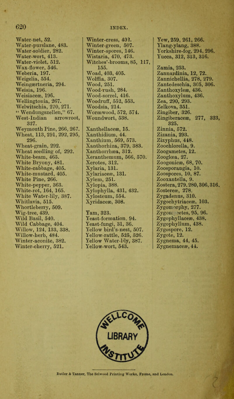 Water-net, 52, Water-purslane, 483. Water-soldier, 282. Water-wort, 413. Water-violet, 512. Wax-flower, 546. Weberia, 197. Weigelia, 554. Weingaertneria, 294. Weisia, 196. Weisiaceae, 196. Wellingtouia, 267. Welwitschia, 270, 271. “ Wendungszellen,” 67. West-Indian arrowroot, 327. Weymouth Pine, 266, 267. Wheat, 113,291,292,295, 296. Wheat-grain, 292. Wheat seedling of, 292. White-beam, 465. White Bryony, 481. White-cabbage, 405. White-mustard, 405. White Pine, 266. White-pepper, 363. White-rot, 164, 165. White Water-lily, 387. Whitlavia, 515. Whortleberry, 509. Wig-tree, 439. Wild Basil, 540. Wild Cabbage, 404. Willow, 124, 133, 338. Willow-herb, 484. Winter-aconite, 382. Winter-cherry, 521. Winter-cress, 402. Winter-green, 507. Winter-spores, 146. Wistaria, 470, 473. Witches’-brooms, 85, 117, 155. Woad, 403, 405. Wolffia, 307. Wood, 251. Wood-rush, 284. Wood-sorrel, 416. Woodruff, 552, 553. Woodsia, 214. Wormwood, 572, 574. Woundwort, 538. Xanthellaceee, 15. Xanthidium, 44. Xanthium, 569, 573. Xanthorhiza, 379, 383. Xanthorrhaea, 312. Xeranthemum, 566, 570. Xerotes, 312. Xylaria, 131. Xylariaceae, 131. Xylem, 251. Xylopia, 388. Xylophylla, 431, 432. Xylosteum, 554. Xyridaceae, 308. Yam, 323. Yeast-formation, 94. Yeast-fungi, 31, 36. Yellow bird’s-nest, 507. Yellow-rattle, 525, 526. Yellow Water-lily, 387. Yellow-wort, 543. Yew, 259, 261, 266. Ylang-ylang, 388. Yorkshire-fog, 294, 296. Yucca, 312, 313, 316. Zamia, 253. Zannardinia, 12, 72. Zannichellia, 278, 279. Zantedeschia, 305, 306. Zanthoxyleae, 436. Zanthoxylum, 436. Zea, 290, 293. Zelkova, 351. Zingiber, 326. Zingiberaceae, 277, 323, 325. Zinnia, 572. Zizania, 293. Zizyphus, 448. Zoochlorella, 9. Zoogametes, 12. Zoogloea, 27. Zoogonicae, 68, 70. Zoosporangia, 10. Zoospores, 10, 87. Zooxantella, 9. Zostera, 279,280,306,316. Zostereae, 278. Zygadenus, 310. Zygochytriaceae, 103. Zygomorphy, 277. Zygon; *.etes, 95, 96. Zygophyllaceae, 438. Zygophyllum, 438. Zygospore, 12. Zygote, 12. Zygnema, 44, 45. Zygnemaceae, 44. Butler & Tanner, The Selwood Printing Works, Frome, and London.