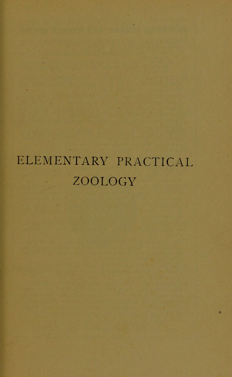 ELEMENTARY PRACTICAL ZOOLOGY