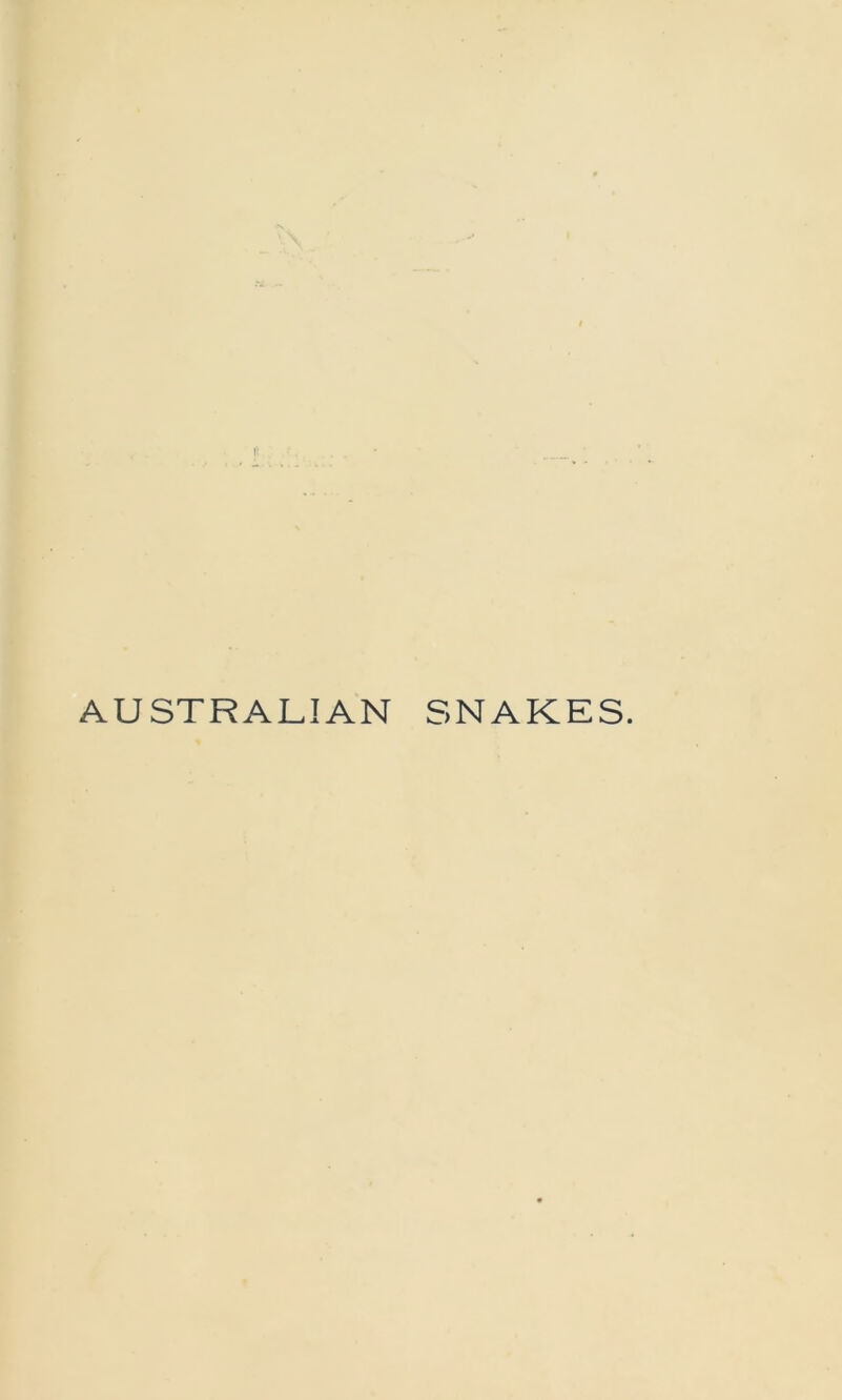 ft AUSTRALIAN SNAKES.