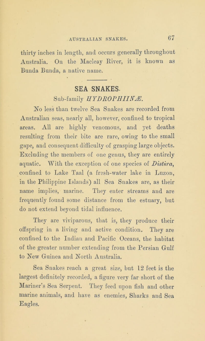 thirty inches in length, and occurs generally throughout Australia. On the Macleay River, it is known as Bunda Bunda, a native name. SEA SNAKES. Sub-family UYDROFHIINJE. No less than twelve Sea Snakes are recorded from Australian seas, nearly all, however, confined to tropical areas. All are highly venomous, and yet deaths resulting from their bite are rare, owing to the small gape, and consequent difficulty of grasping large objects. Excluding the members of one genus, they are entirely aquatic. With the exception of one species of Distira, confined to Lake Taal (a fresh-water lake in Luzon, in the Philippine Islands) all Sea Snakes are, as their name implies, marine. They enter streams and are frequently found some distance from the estuary, but do not extend beyond tidal influence. They are viviparous, that is, they produce their offspring in a living and active condition. They are confined to the Indian and Pacific Oceans, the habitat of the greater number extending from the Persian Gulf to New Guinea and North Australia. Sea Snakes reach a great size, but 12 feet is the largest definitely recorded, a figure very far short of the Mariner’s Sea Serpent. They feed upon fish and other marine animals, and have as enemies, Sharks and Sea Eagles.
